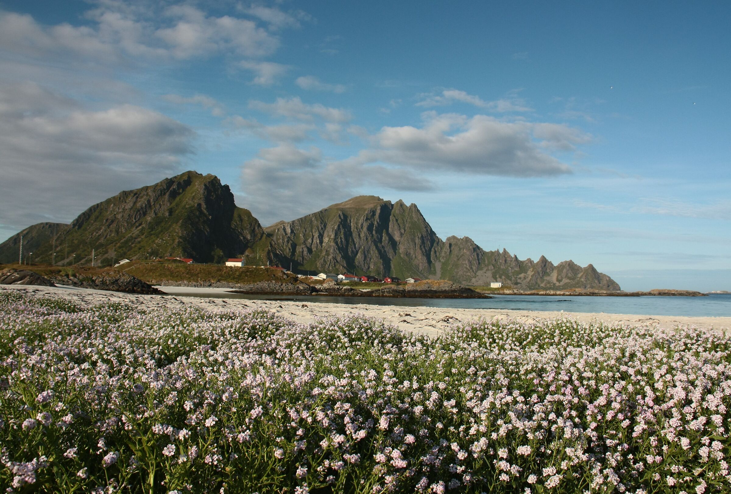 Lofoten