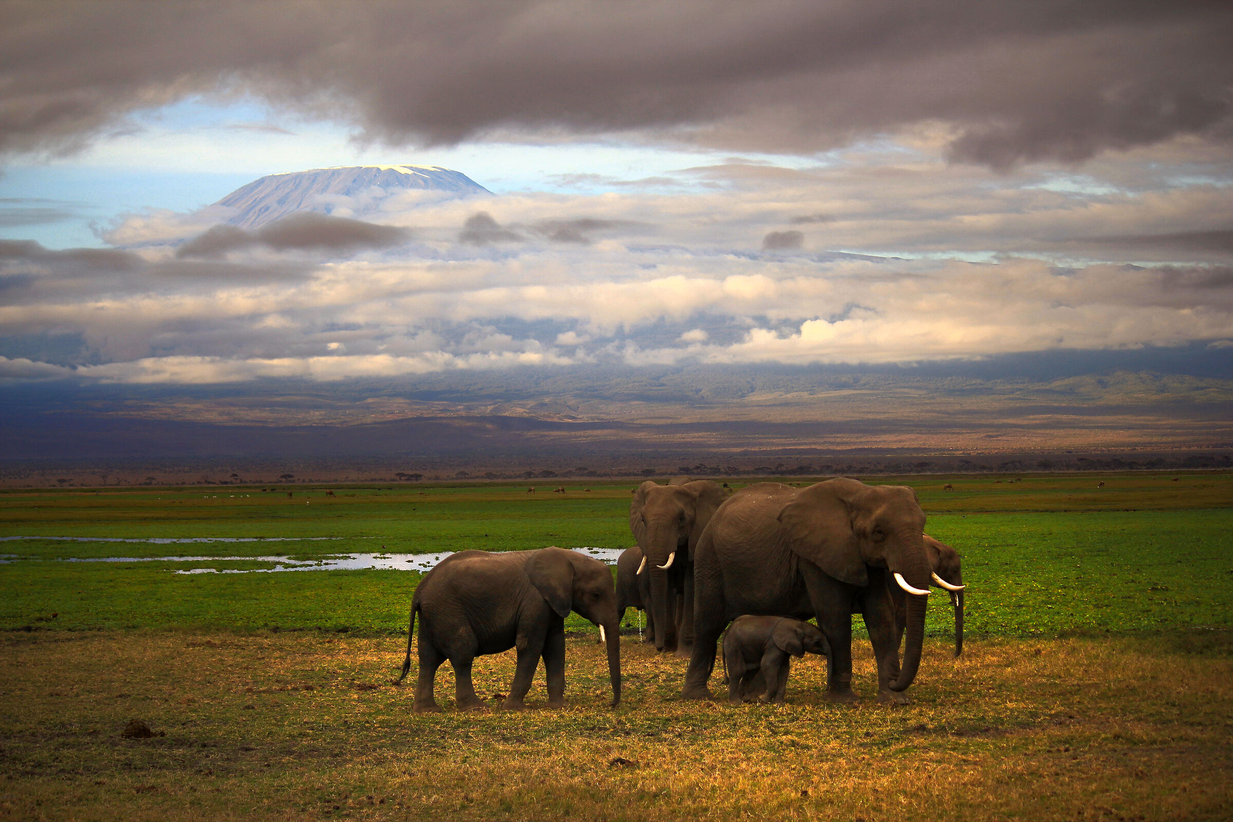 Gruppo di famiglia.....