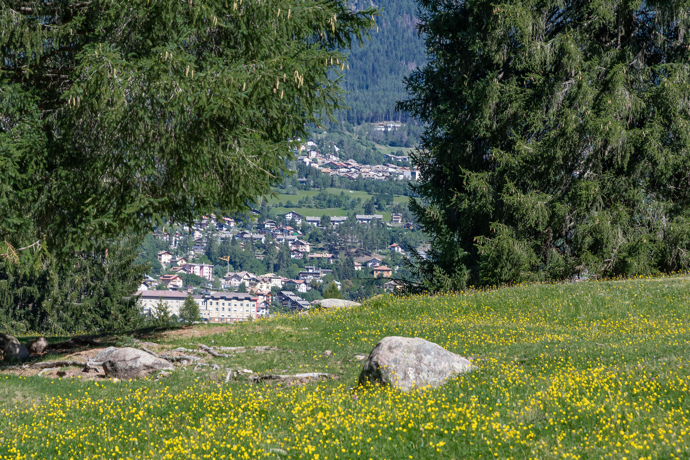 val di fiemme