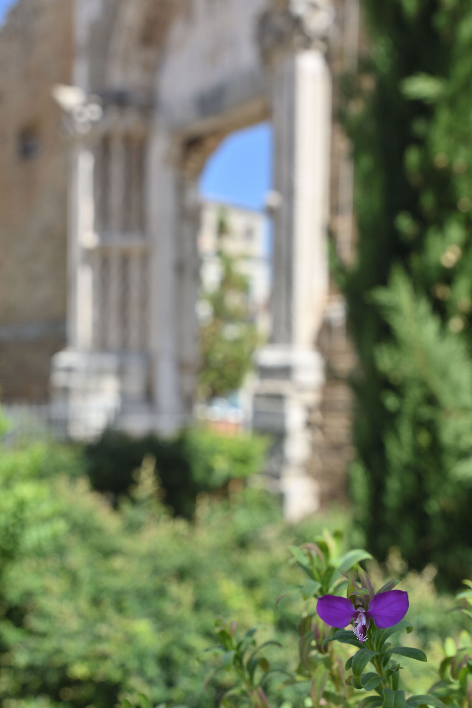 Test Samyang AS UMC 35mm f.1,4