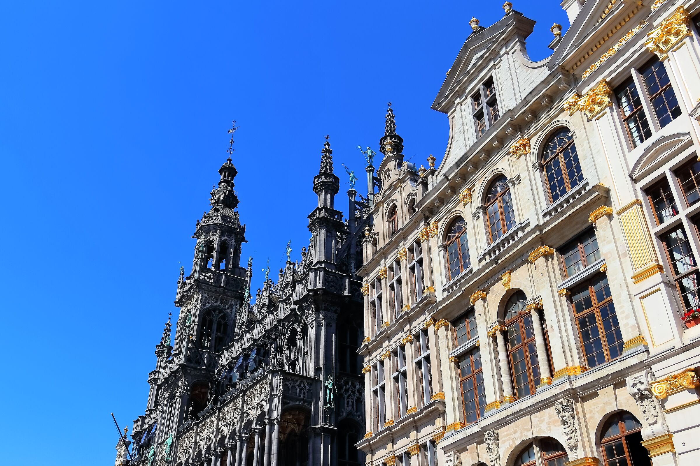 Bruxelles Gran Place 11-08-2022