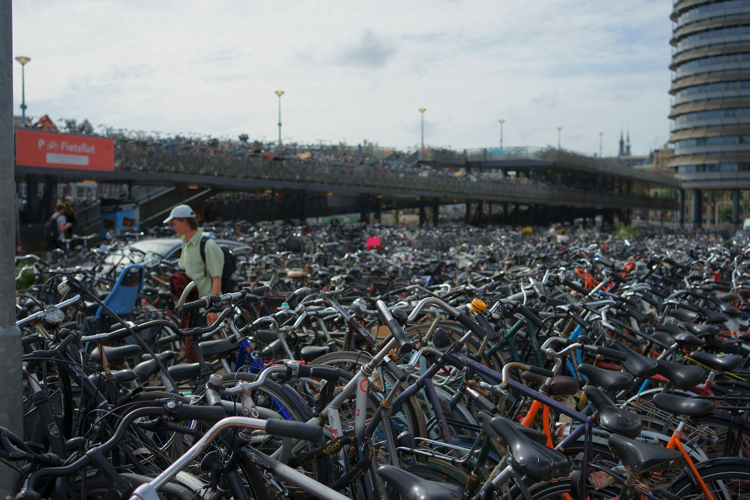 I just want to ride my bicycle