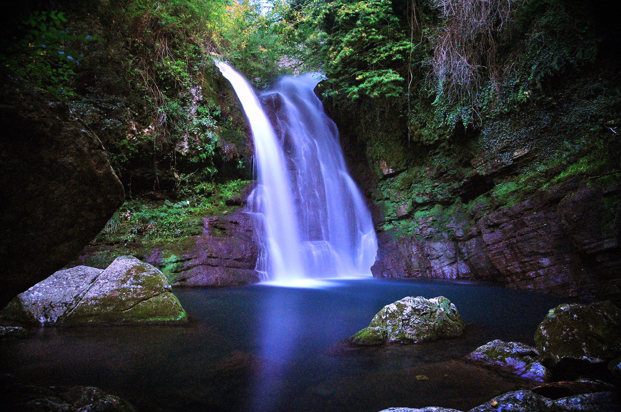 hornbeam waterfall
