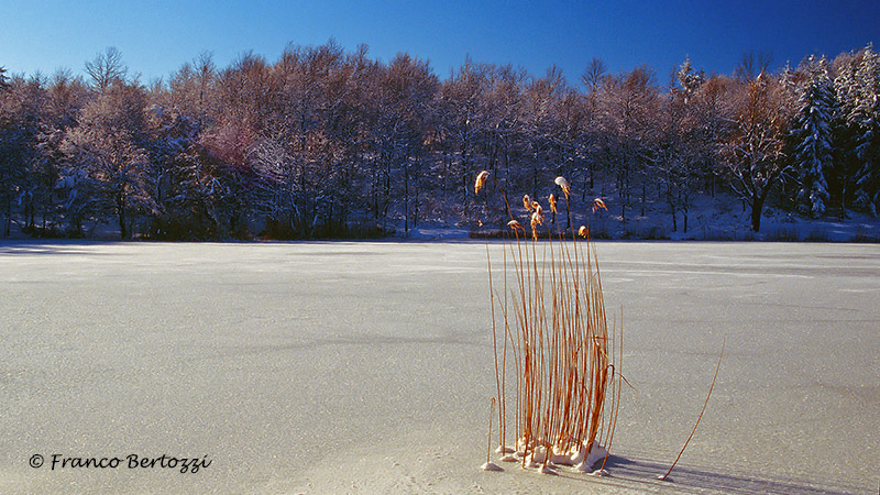 lago ghiacciato