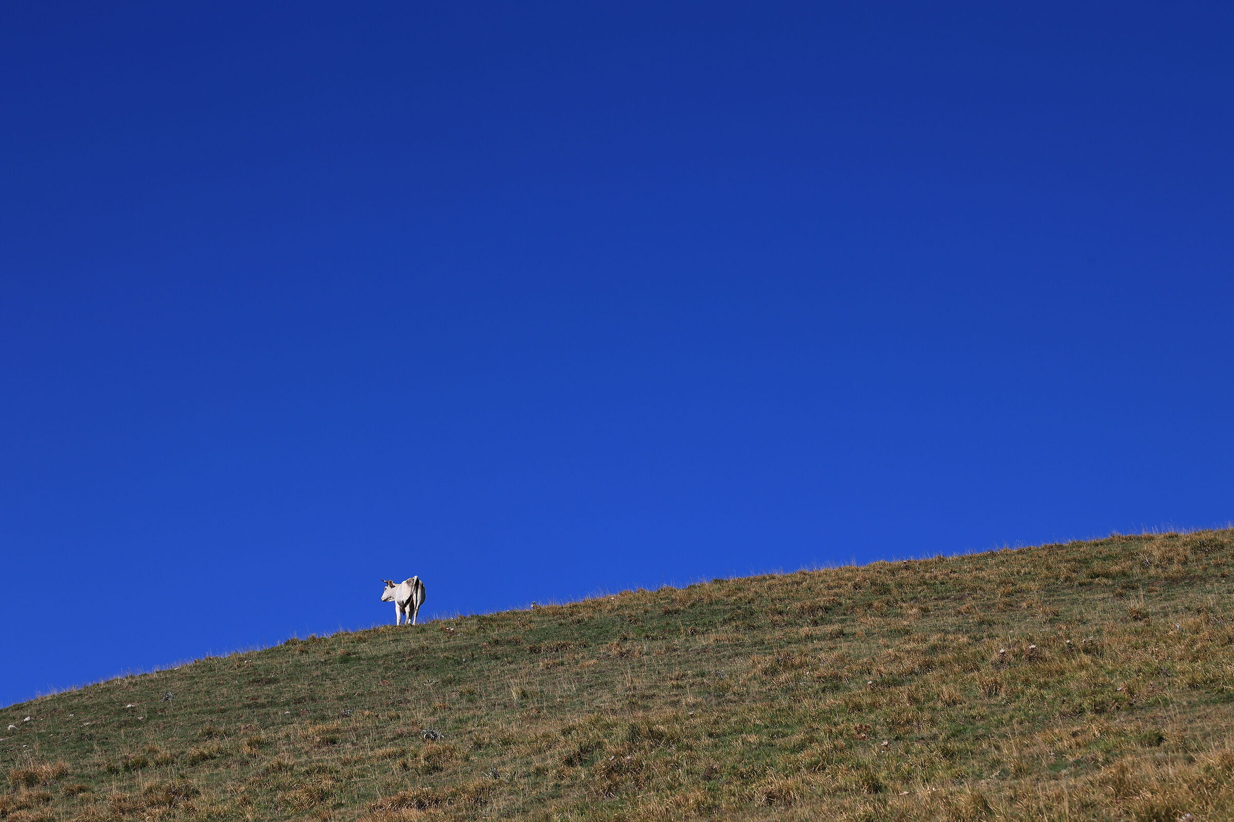 verso monte San Franco