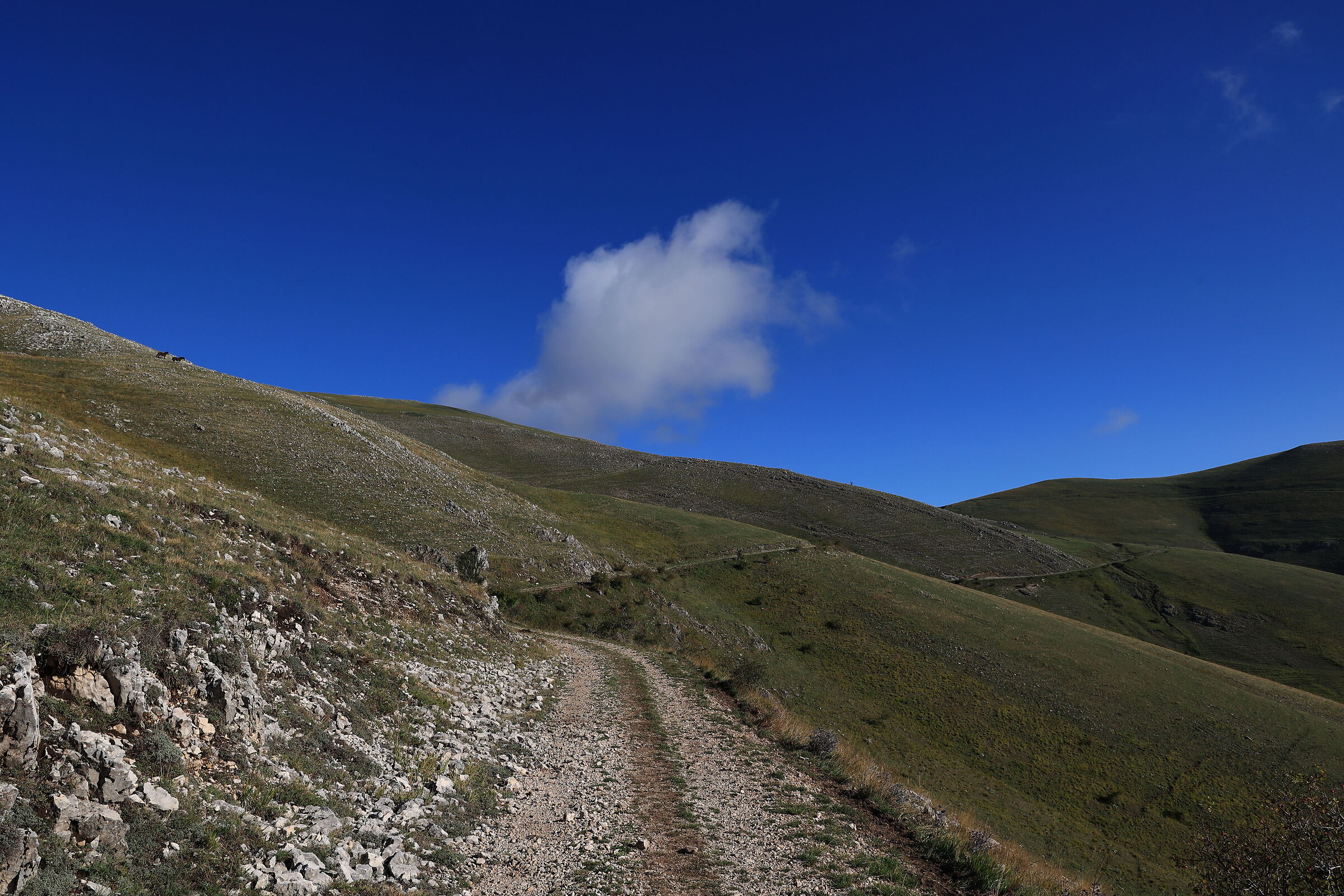 verso San Franco