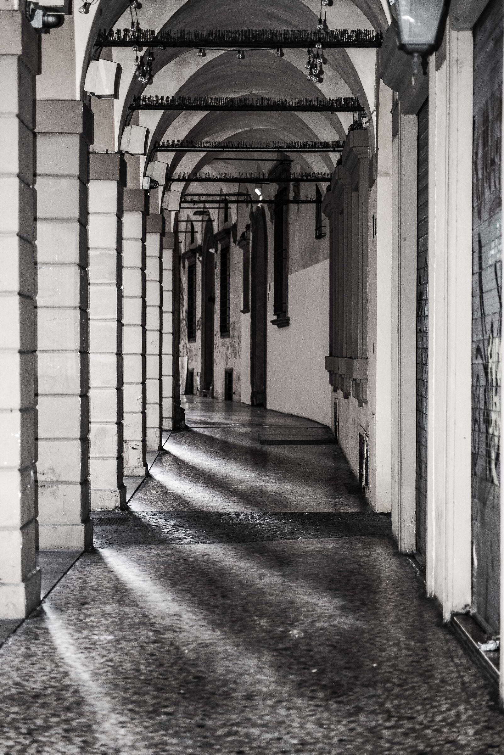 Bologna