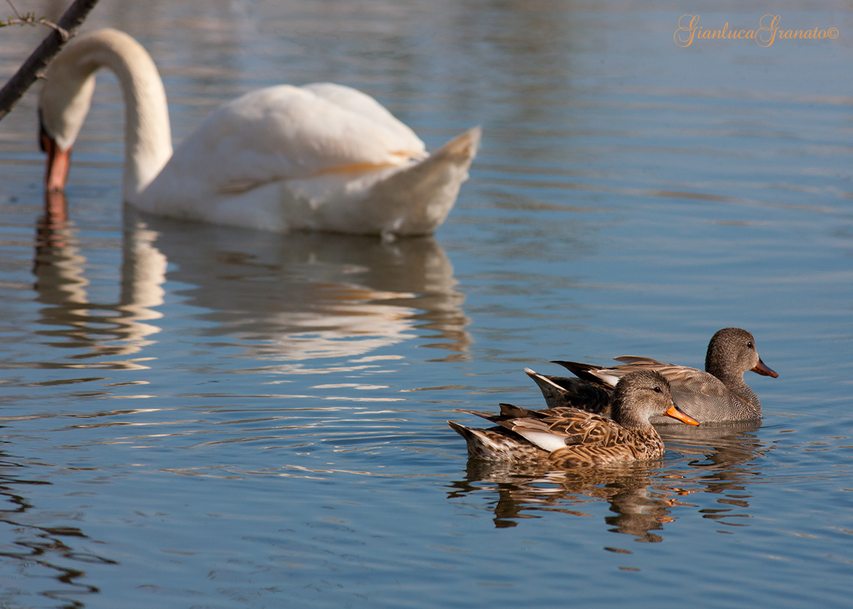 A passeggio nell'Oasi