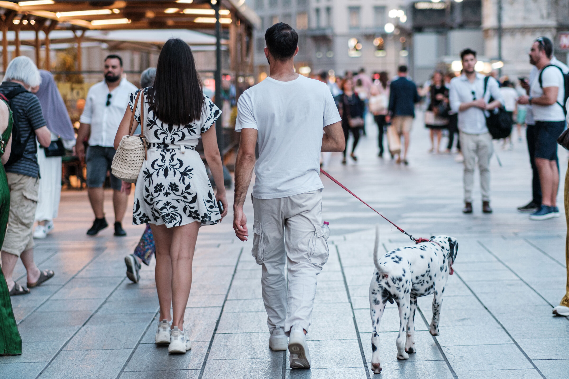 Do owners and dogs look alike?