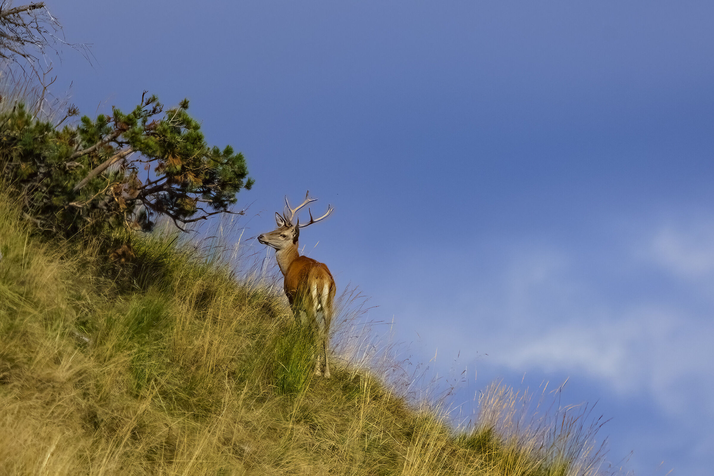 On the ridge