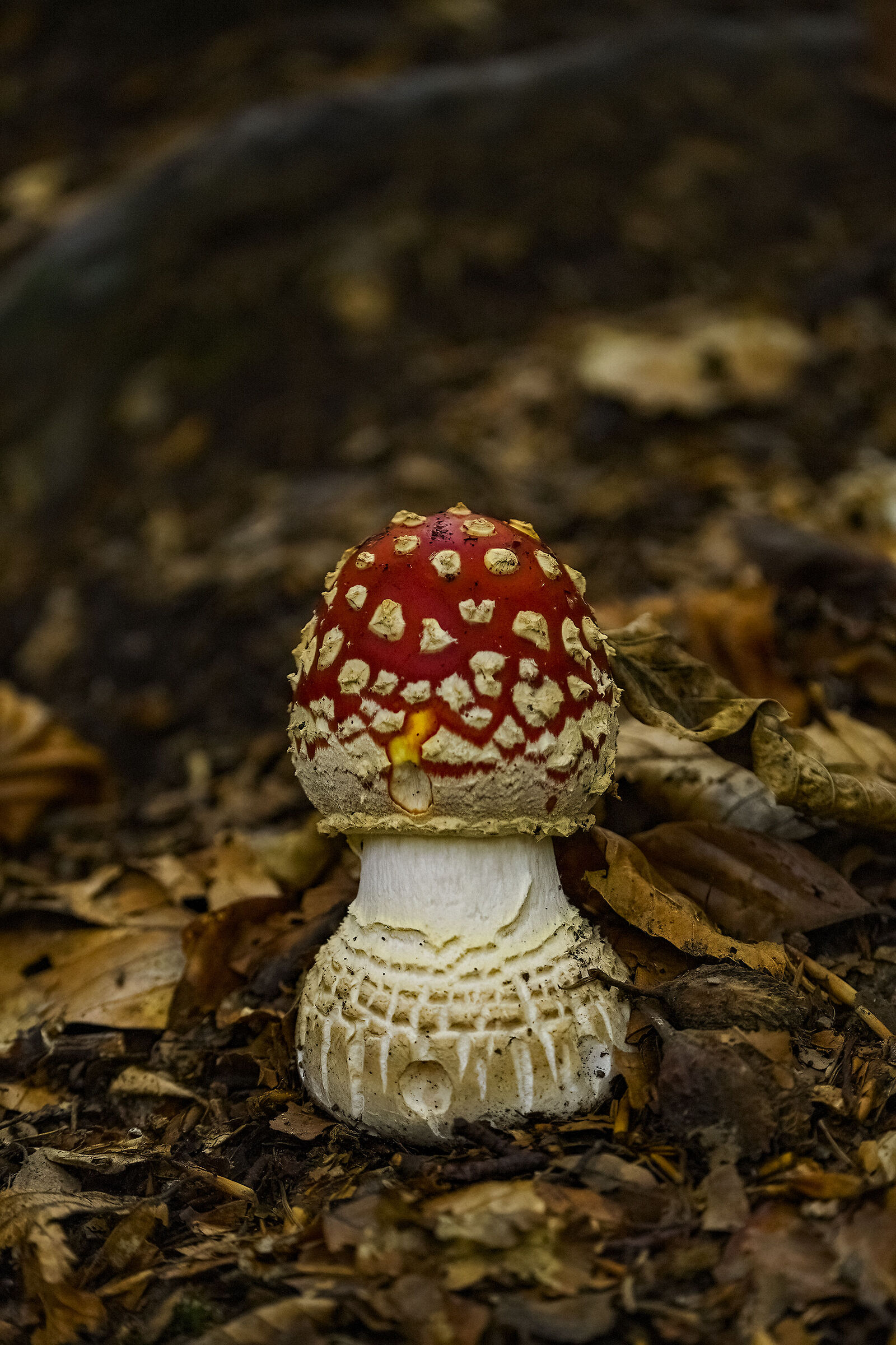 Bello ma meglio lasciarlo lì