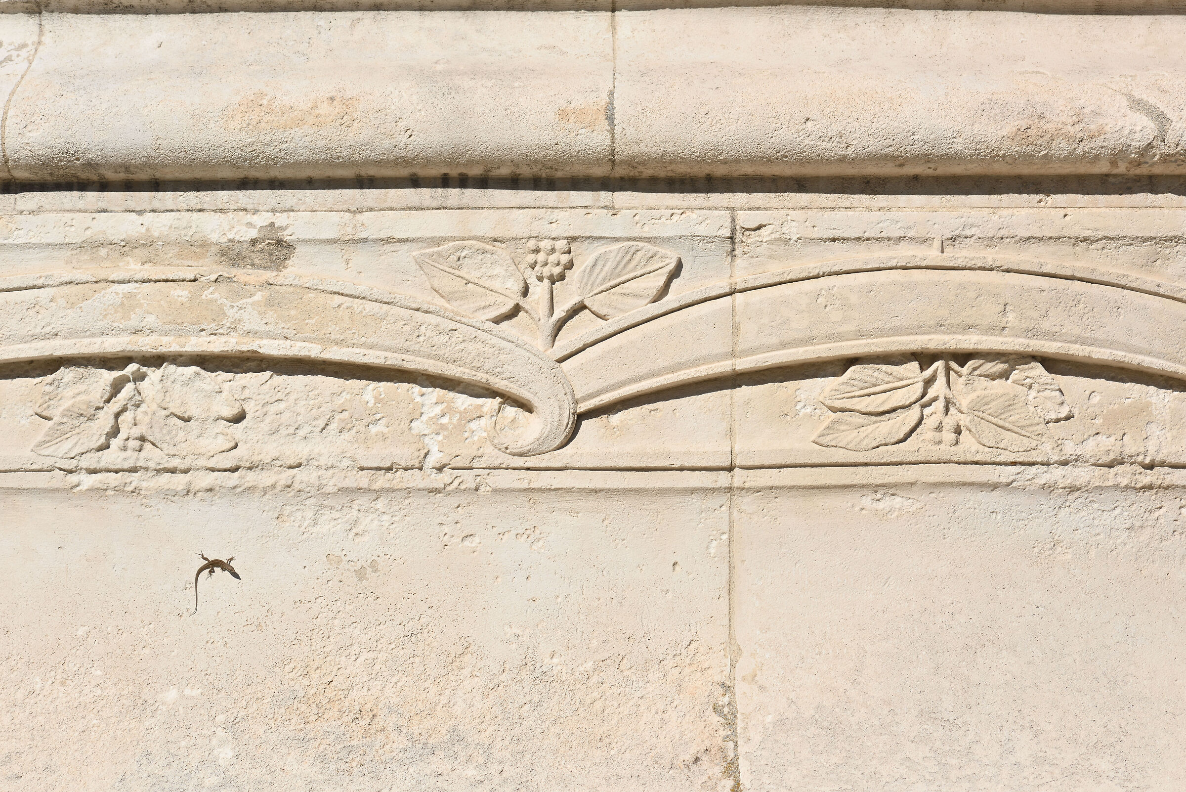 Test Nikkor AI-s 135  f/3,5