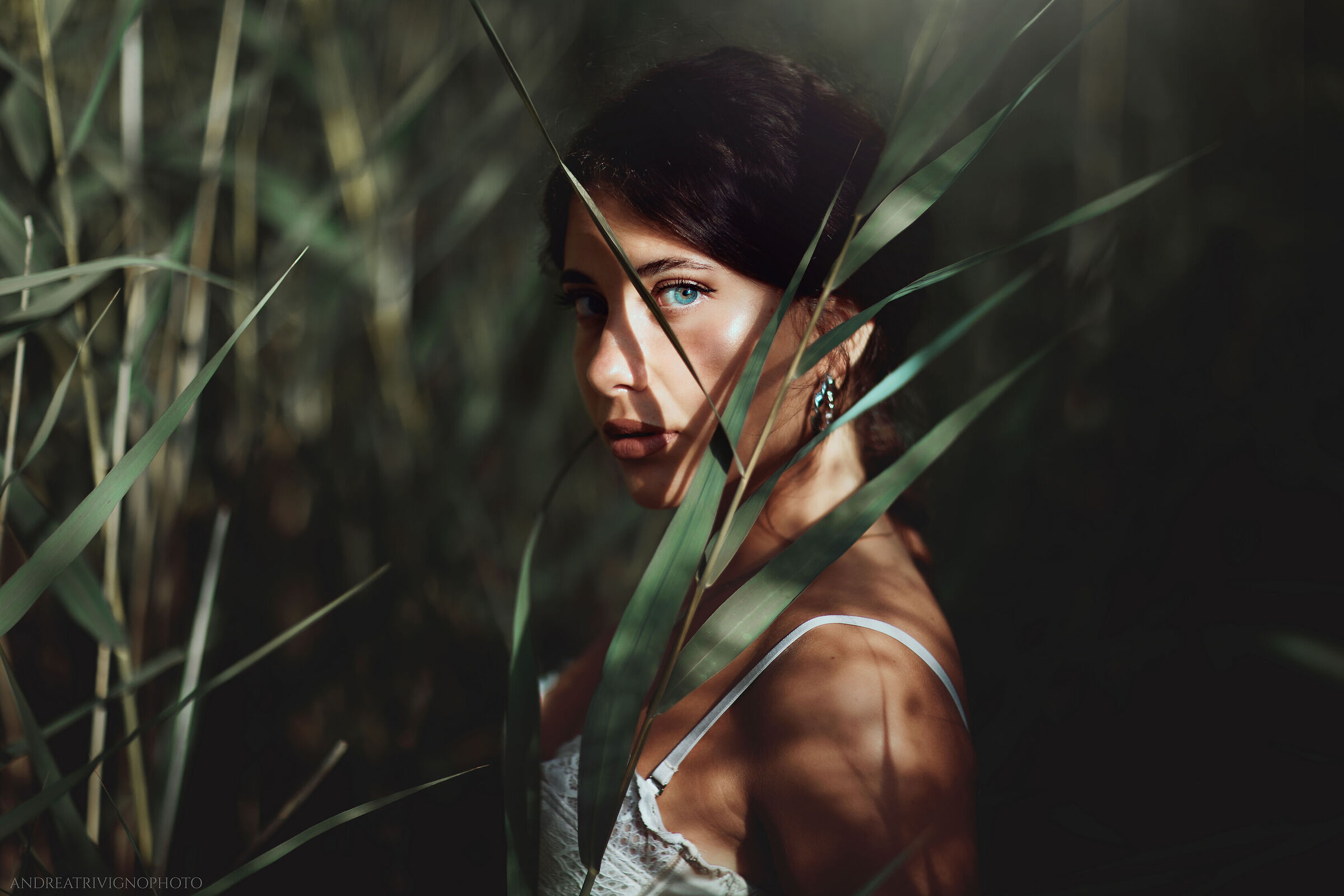 Andrea - Feel 2