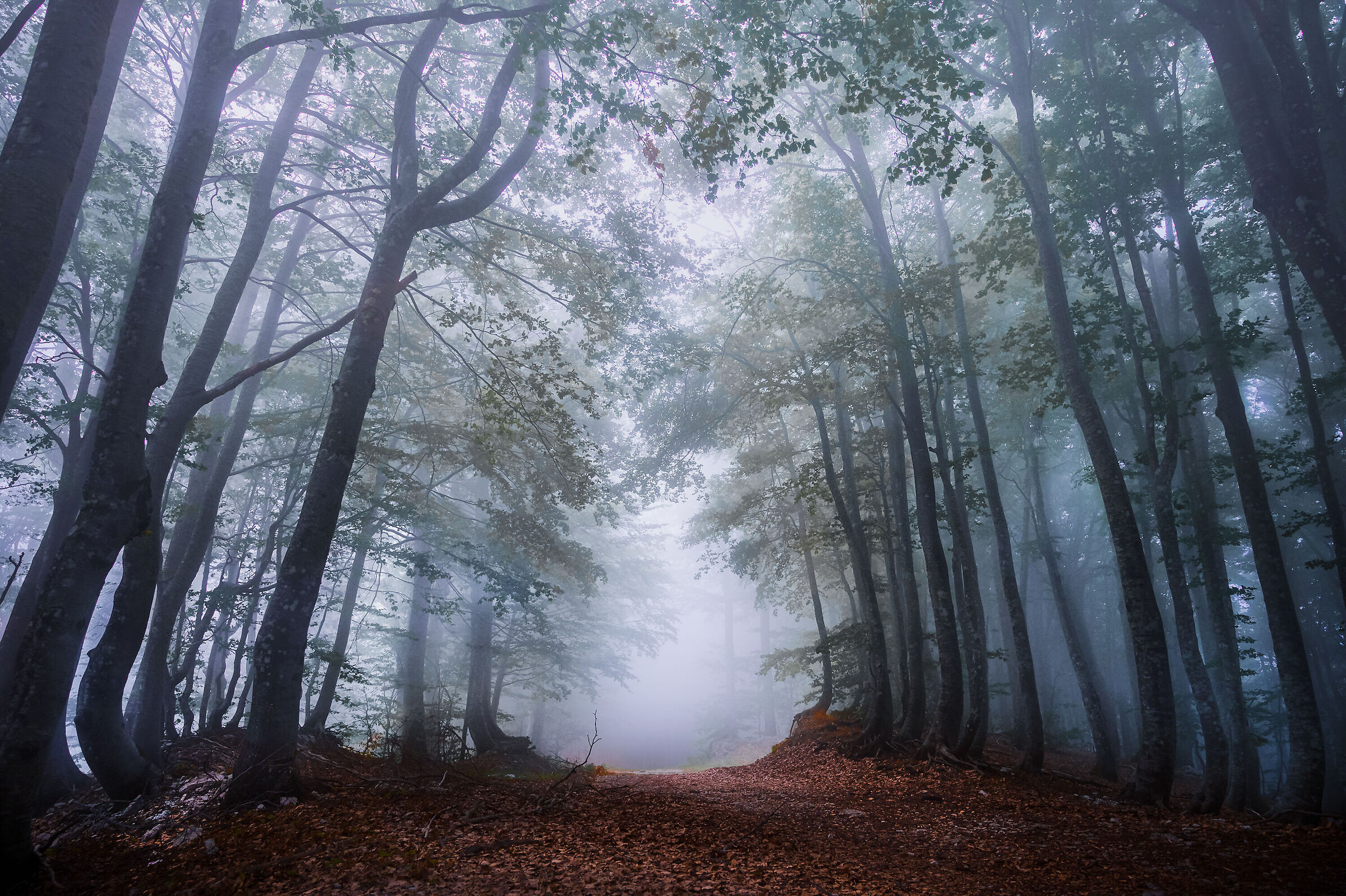 Autumn is coming.