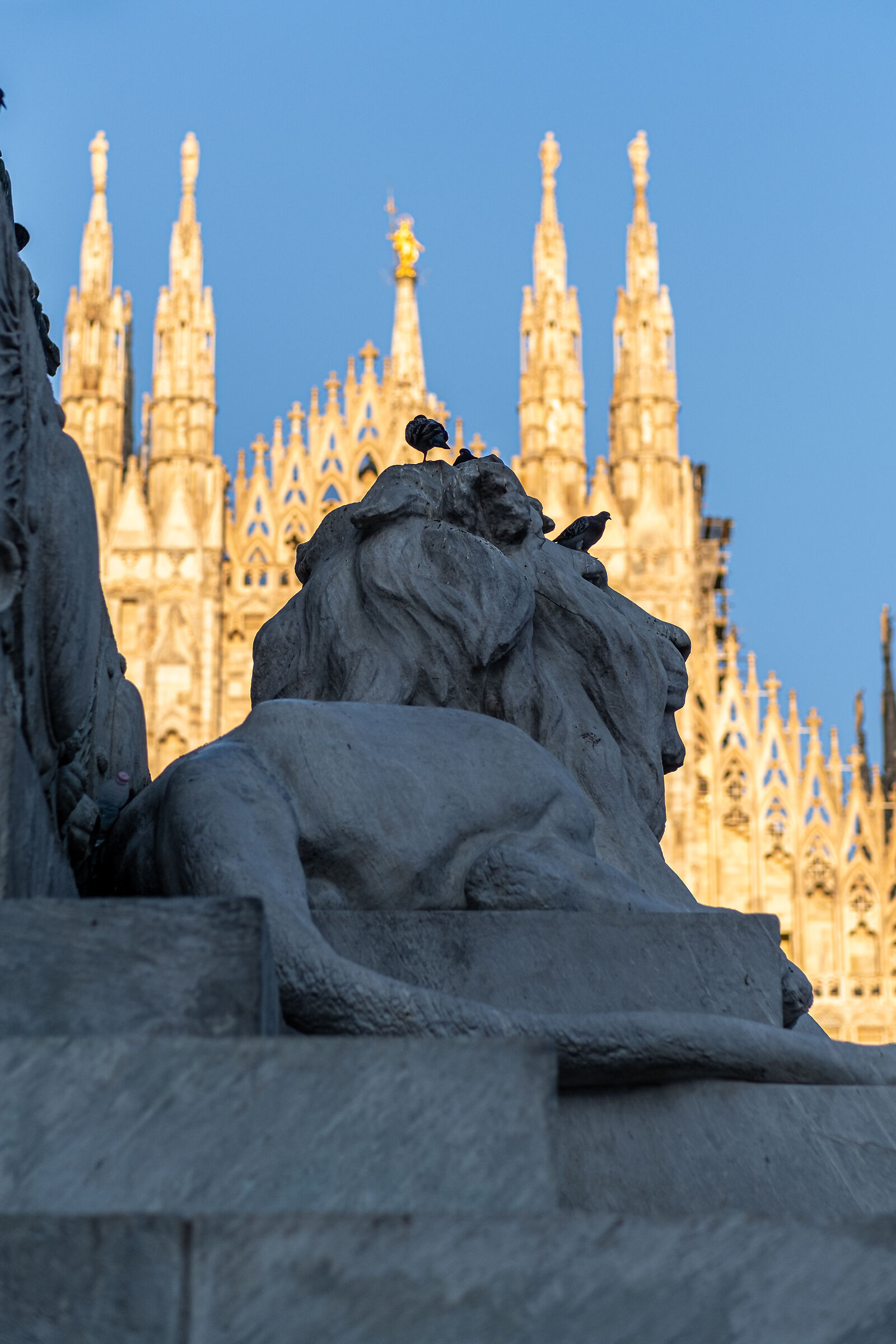 Milan Cathedral