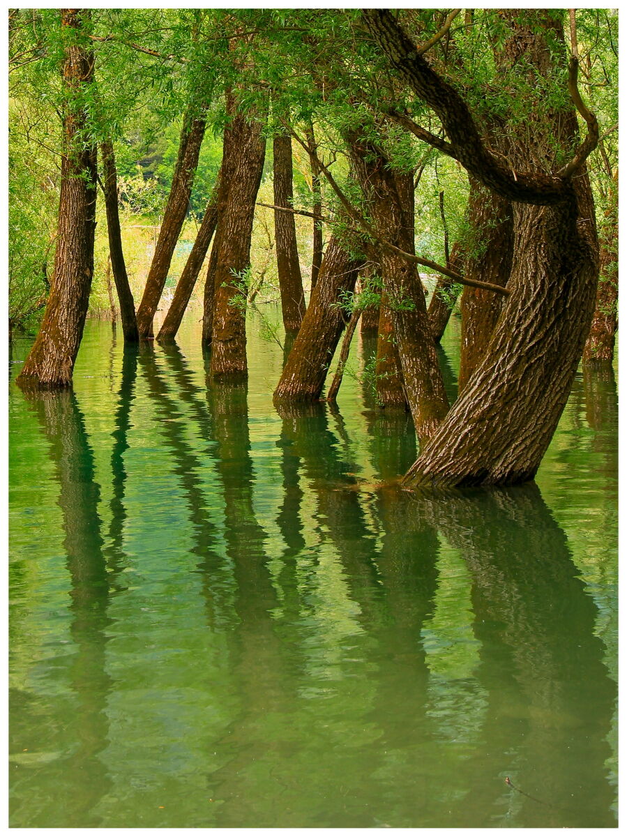 Along the shores of Lake Barrea - AQ