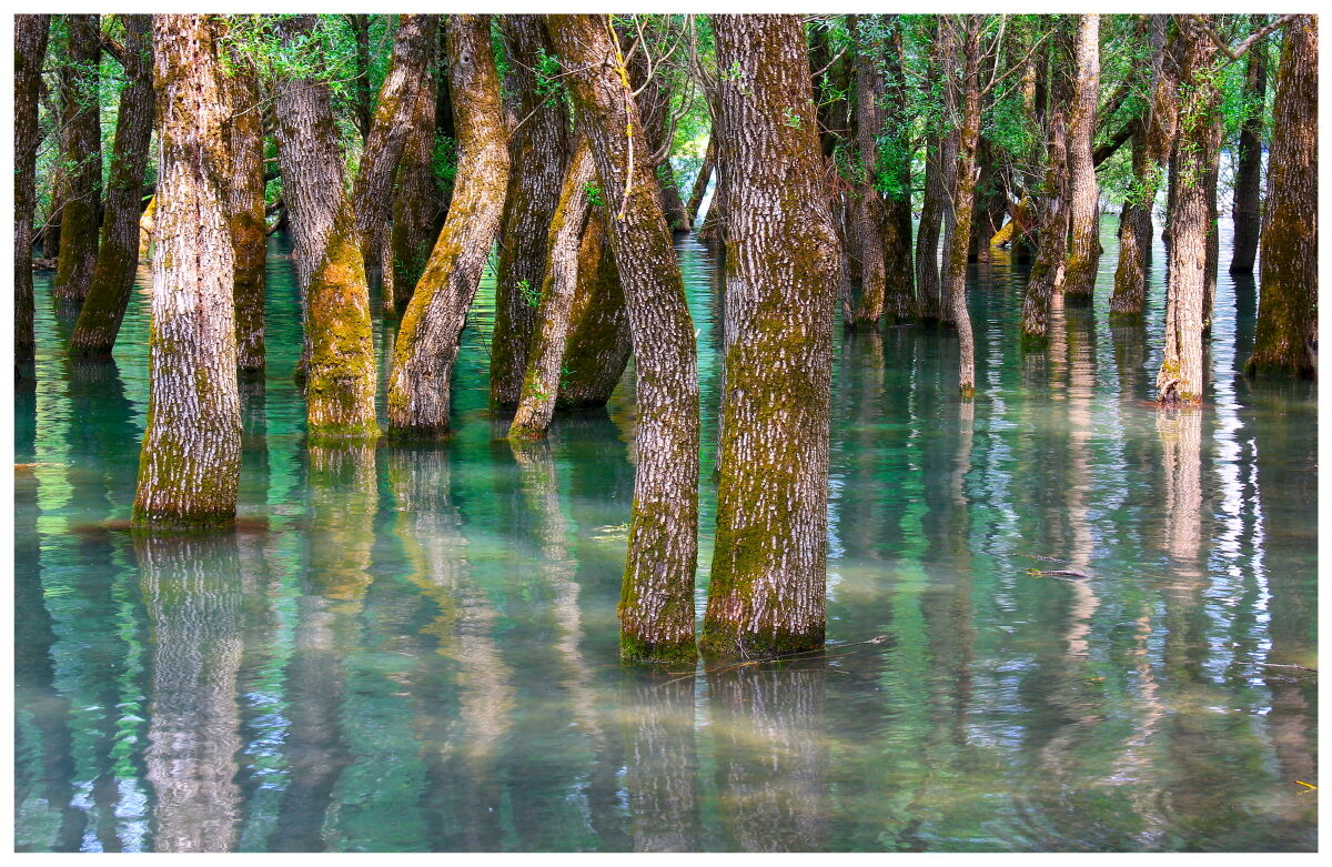 Along the shores of Lake Barrea - AQ