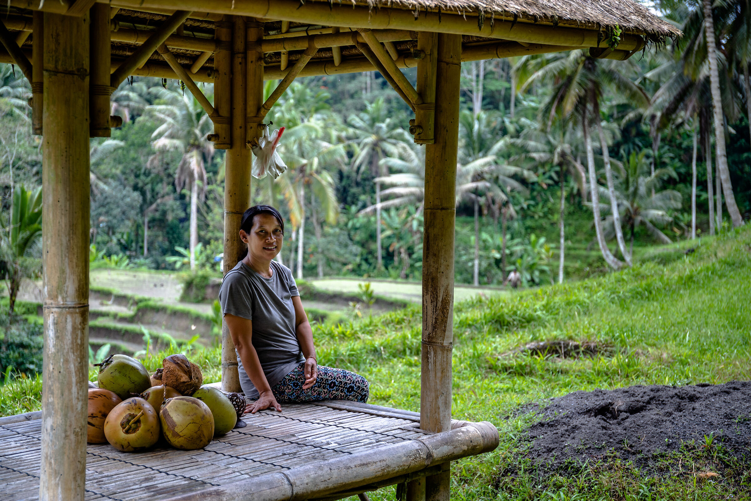 La venditrice nelle risaie