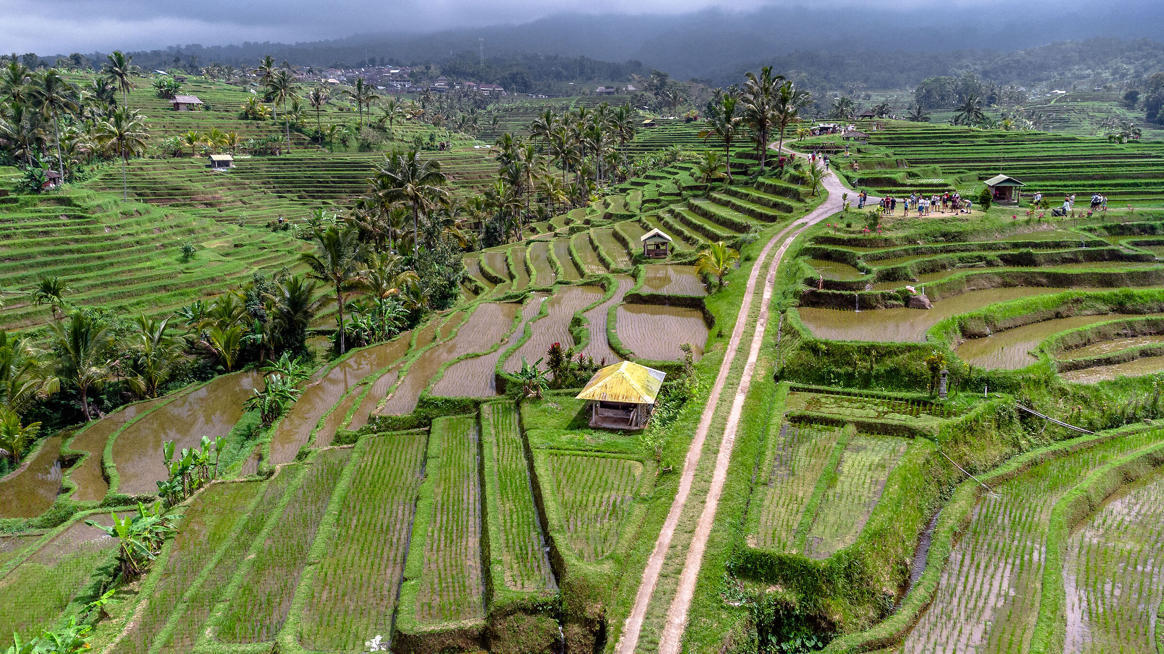 La strada per Jatiluwih