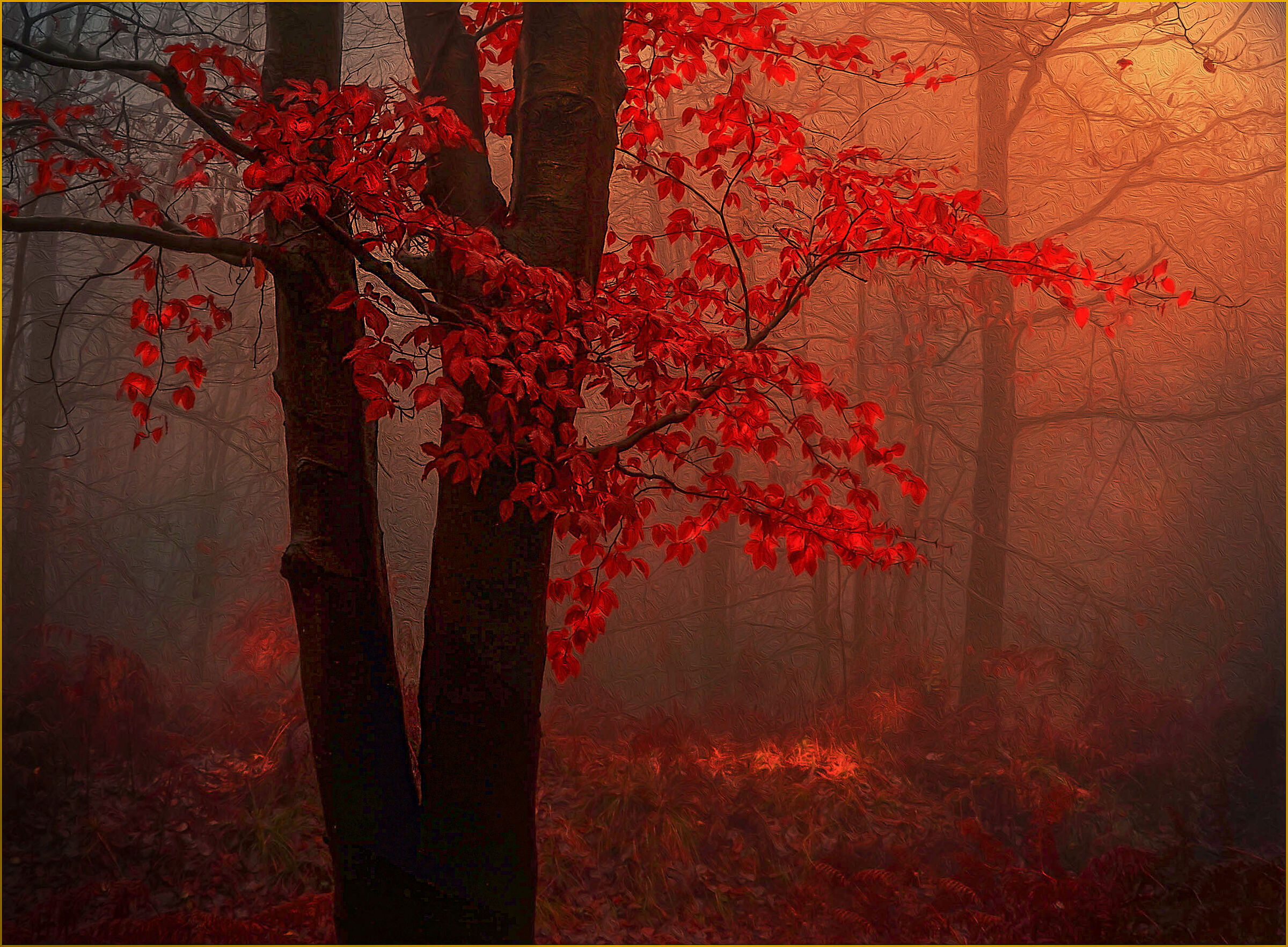 Nebbia mattutina d'autunno