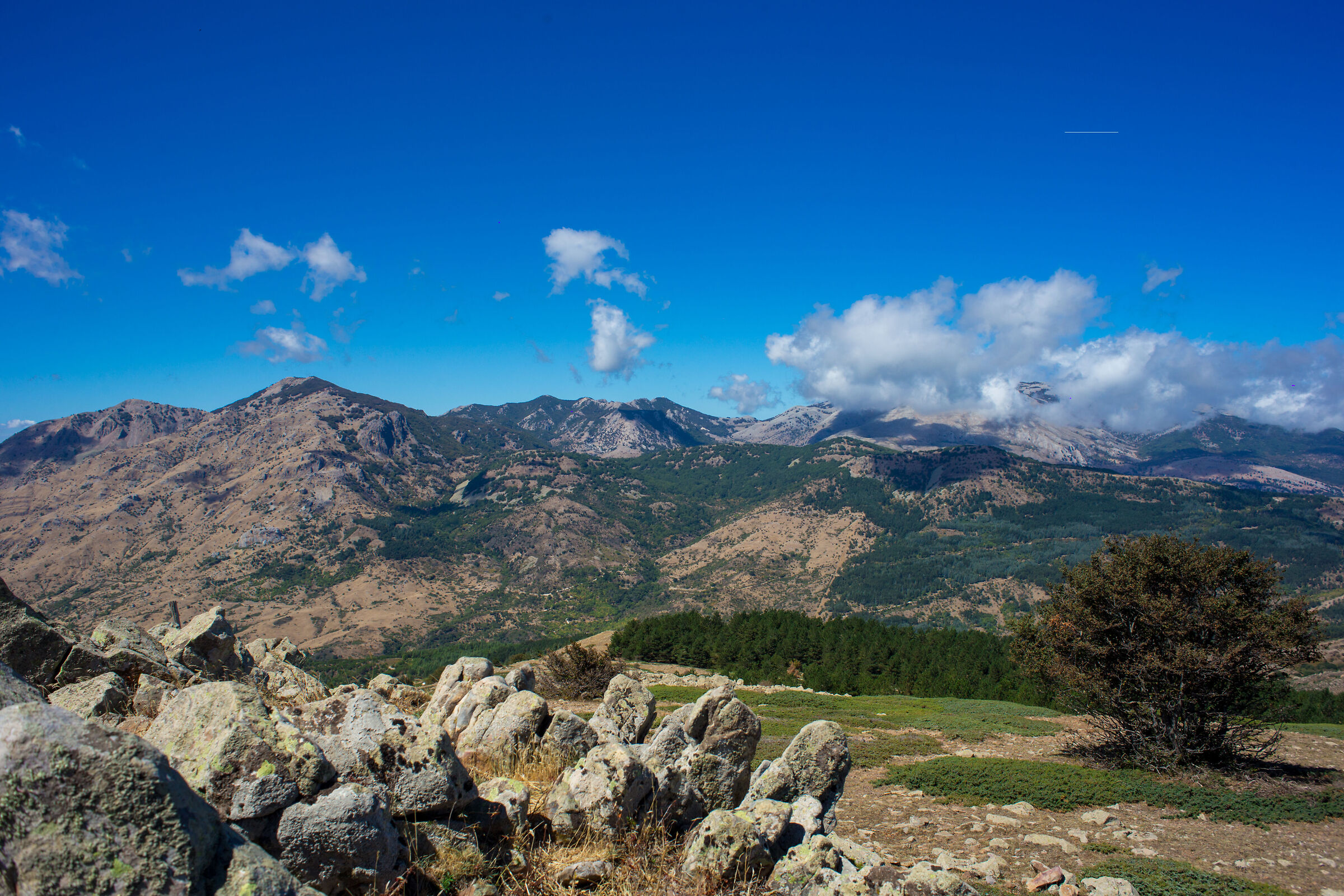 Pizzo Catarineci, Parco delle Madonie, 03