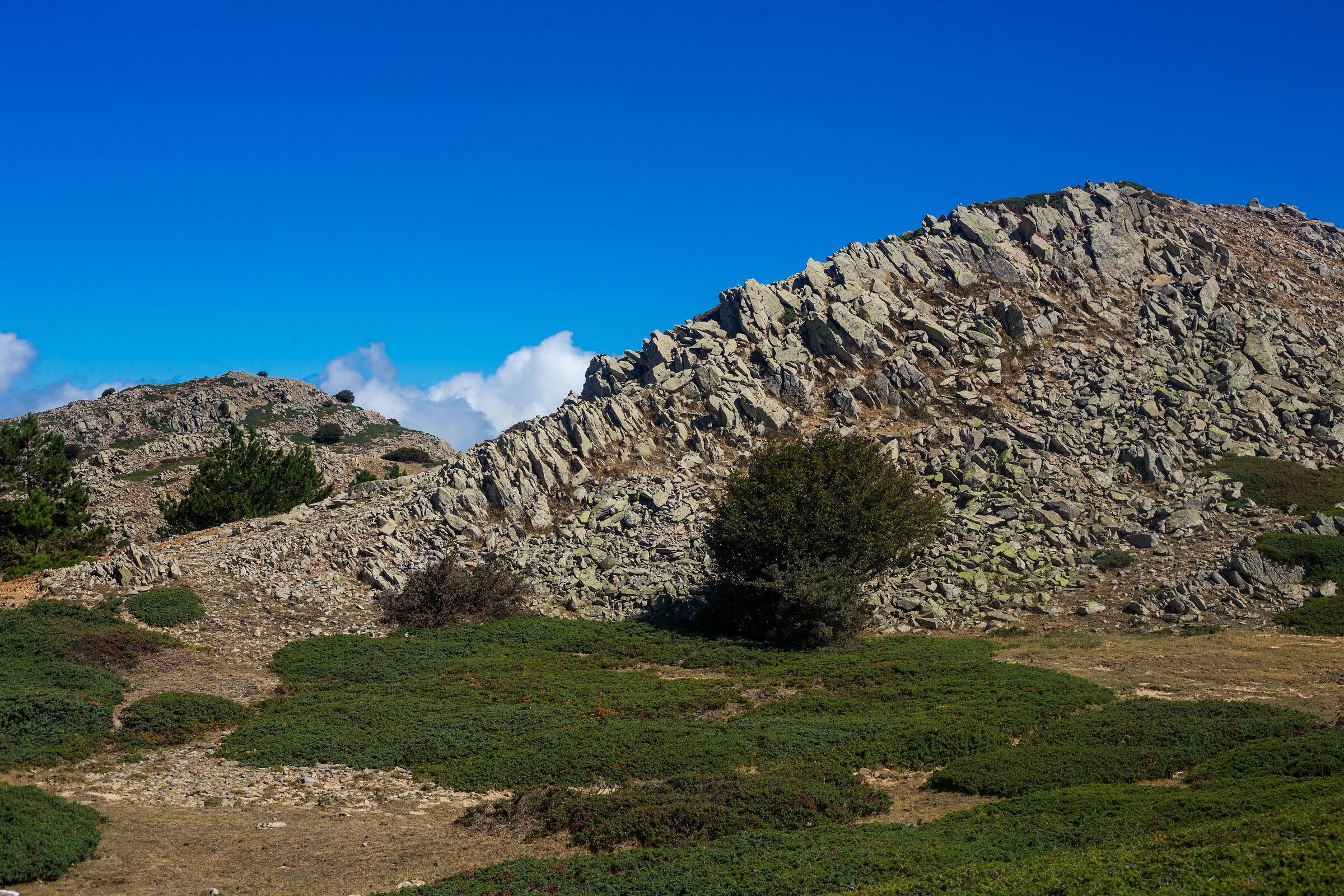 Pizzo Catarineci, Parco delle Madonie, 05