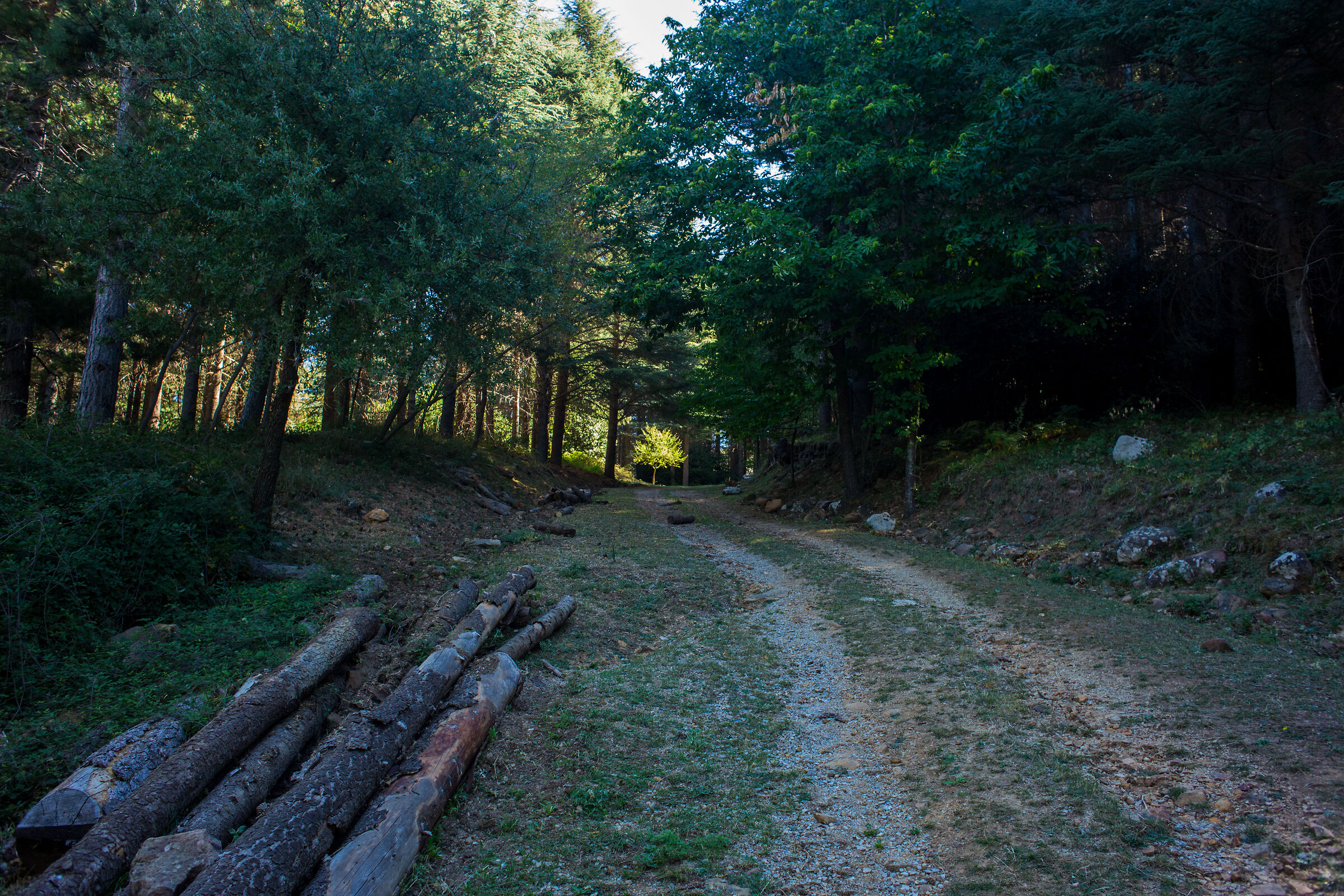Pizzo Catarineci, Parco delle Madonie, 10