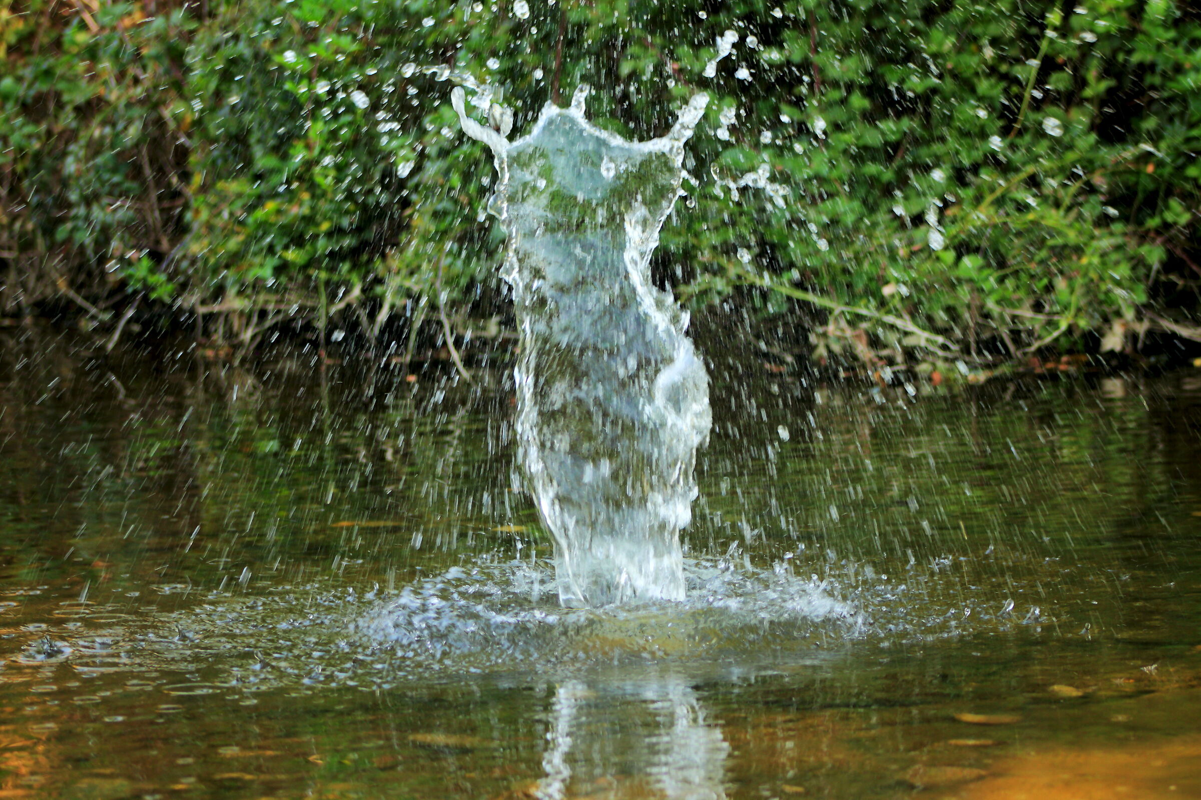 La nascita di Venere...