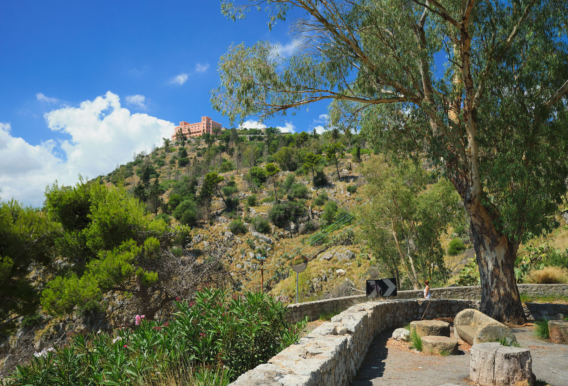 The mountain of the "Santuzza" and the Utveggio Castle.