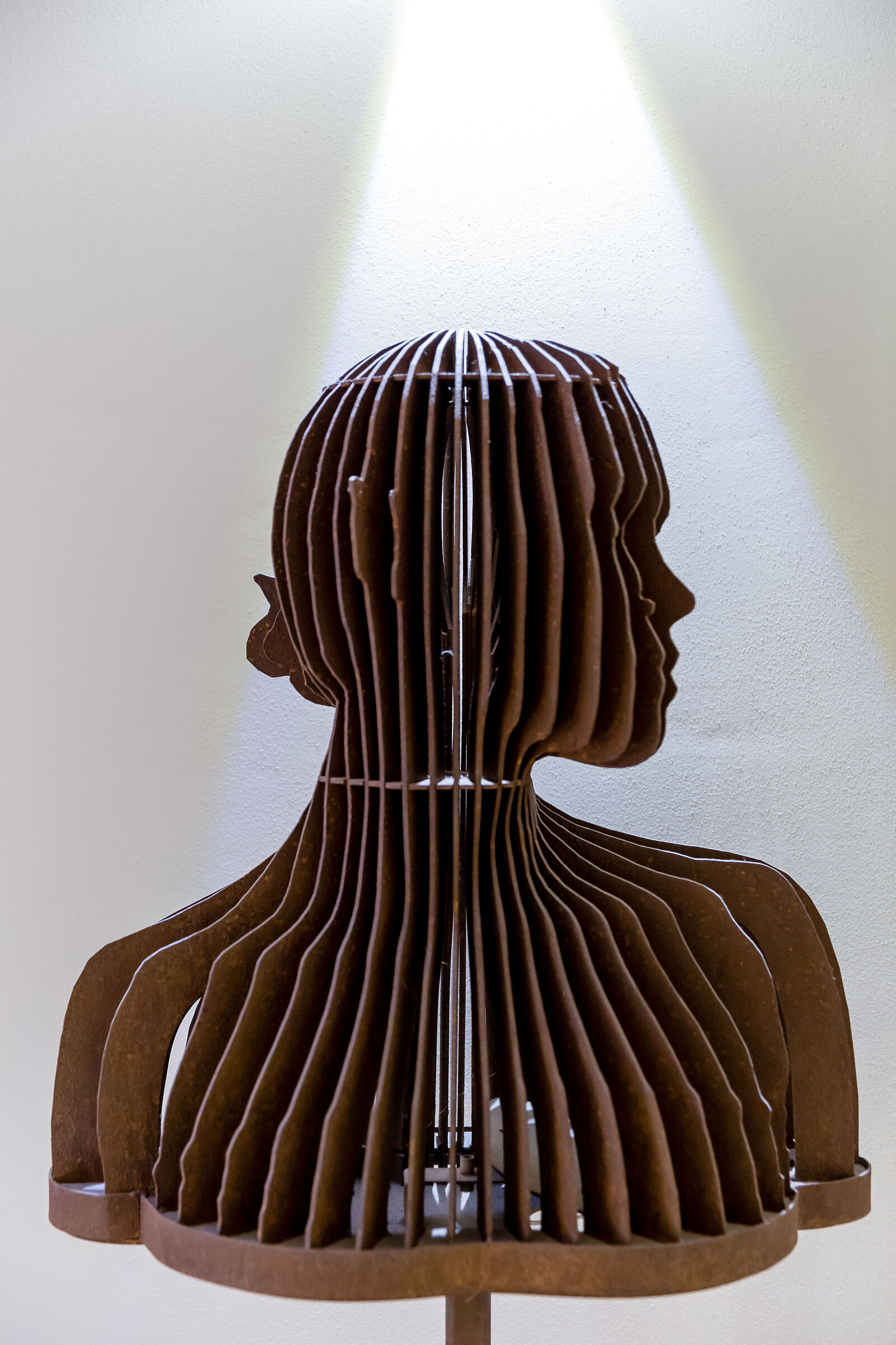 The Mysterious Woman