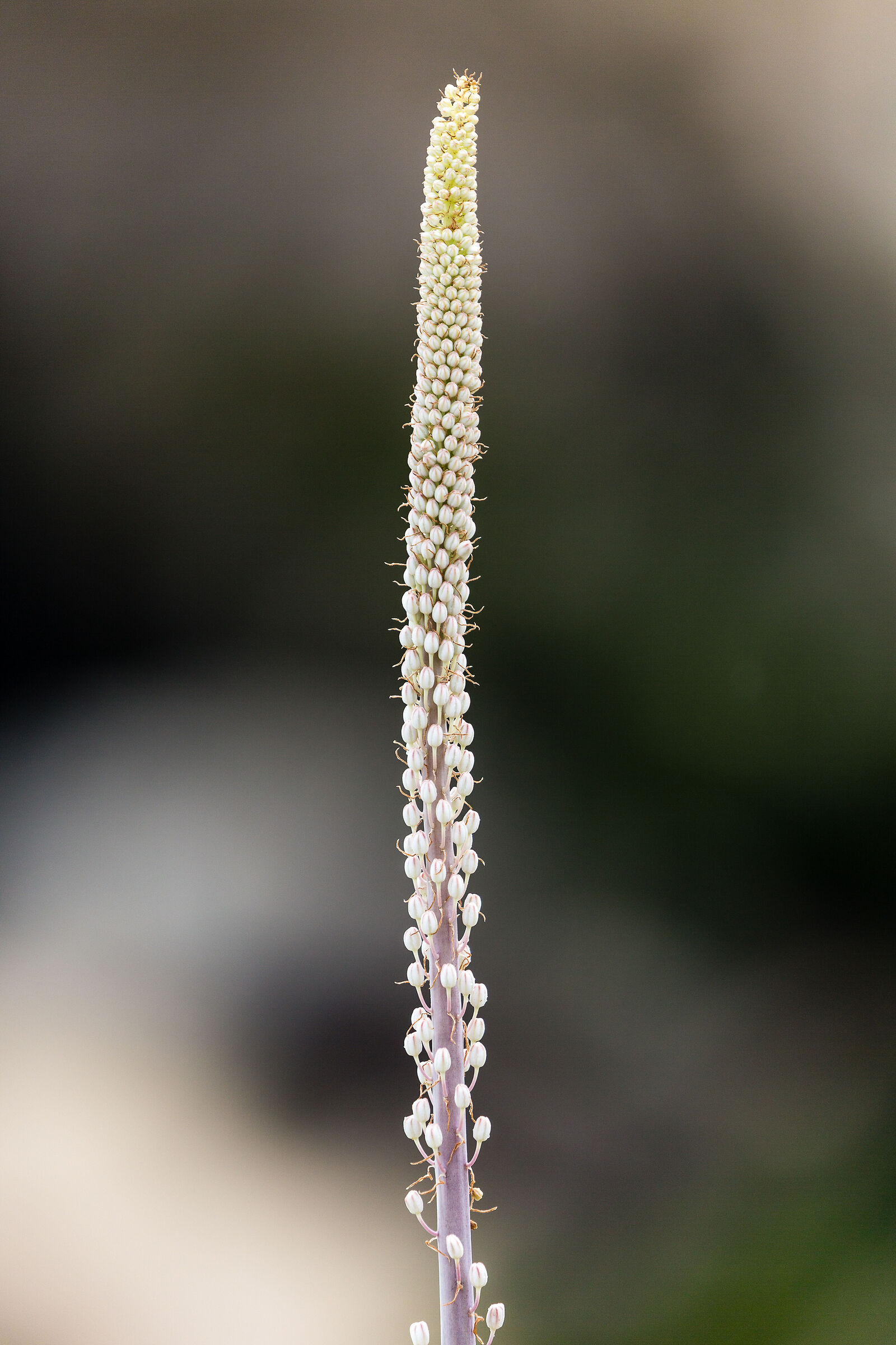 Untitled Photo