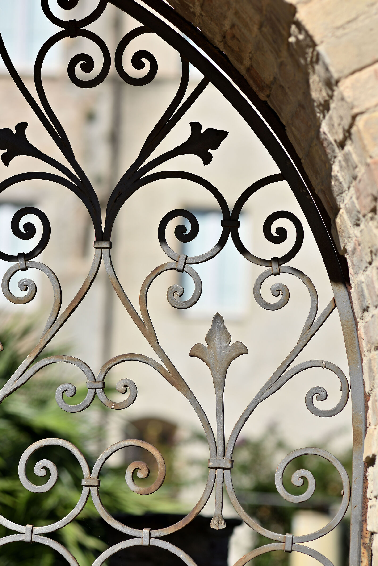 Test Nikkor AI-s 135 f/3.5