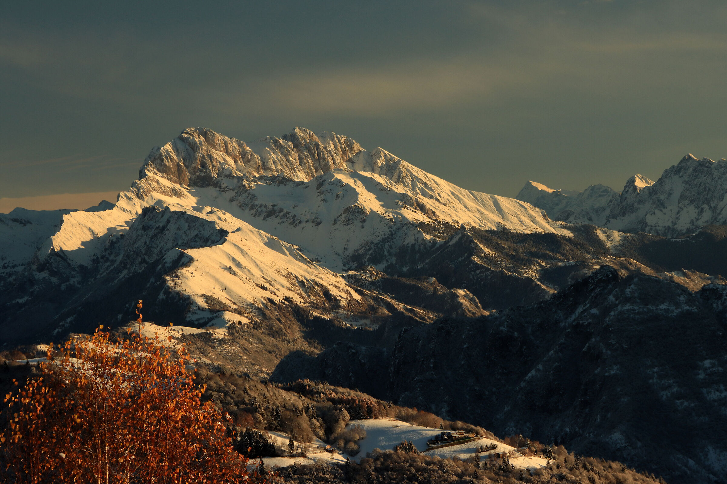 we wait for the whitewashed "queen"