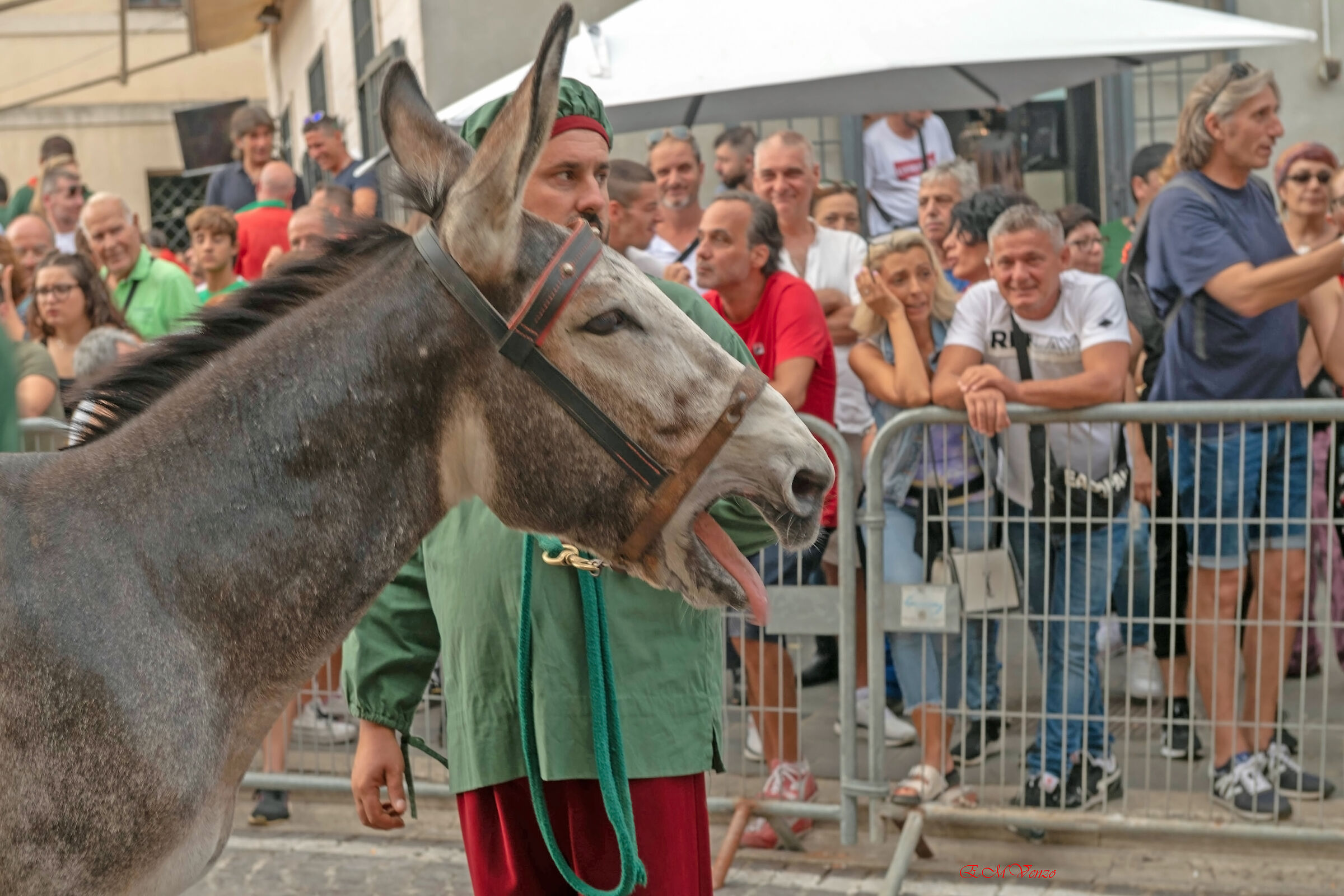 Palio