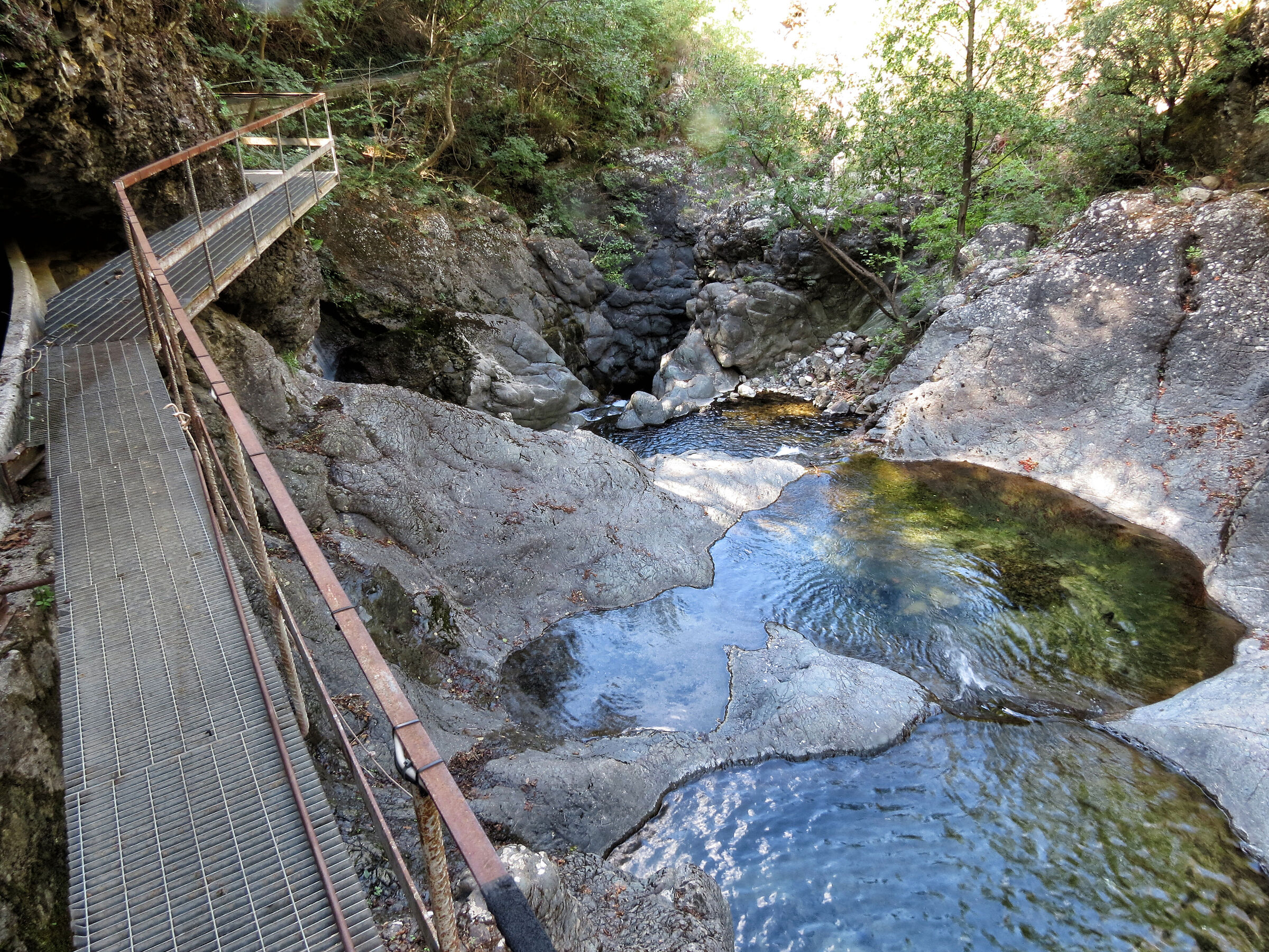 The walkway and the ponds