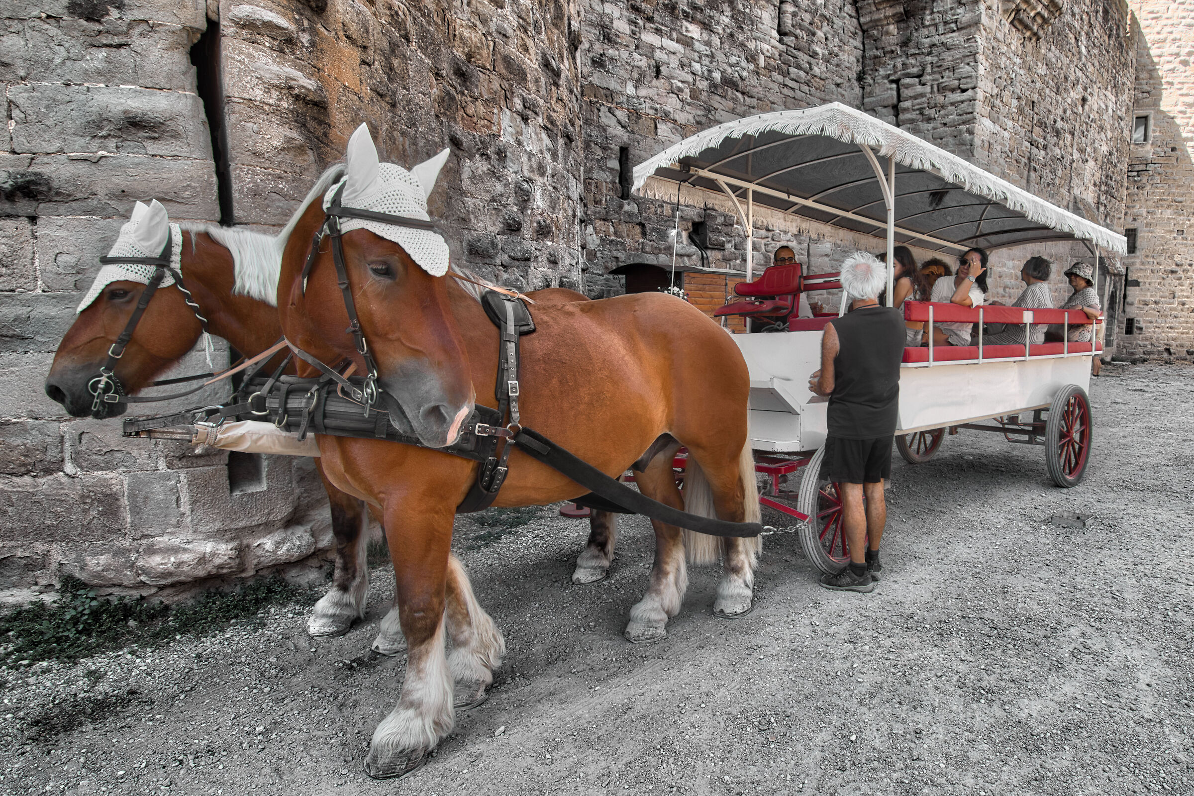 Carrozza Carcassone - Francia