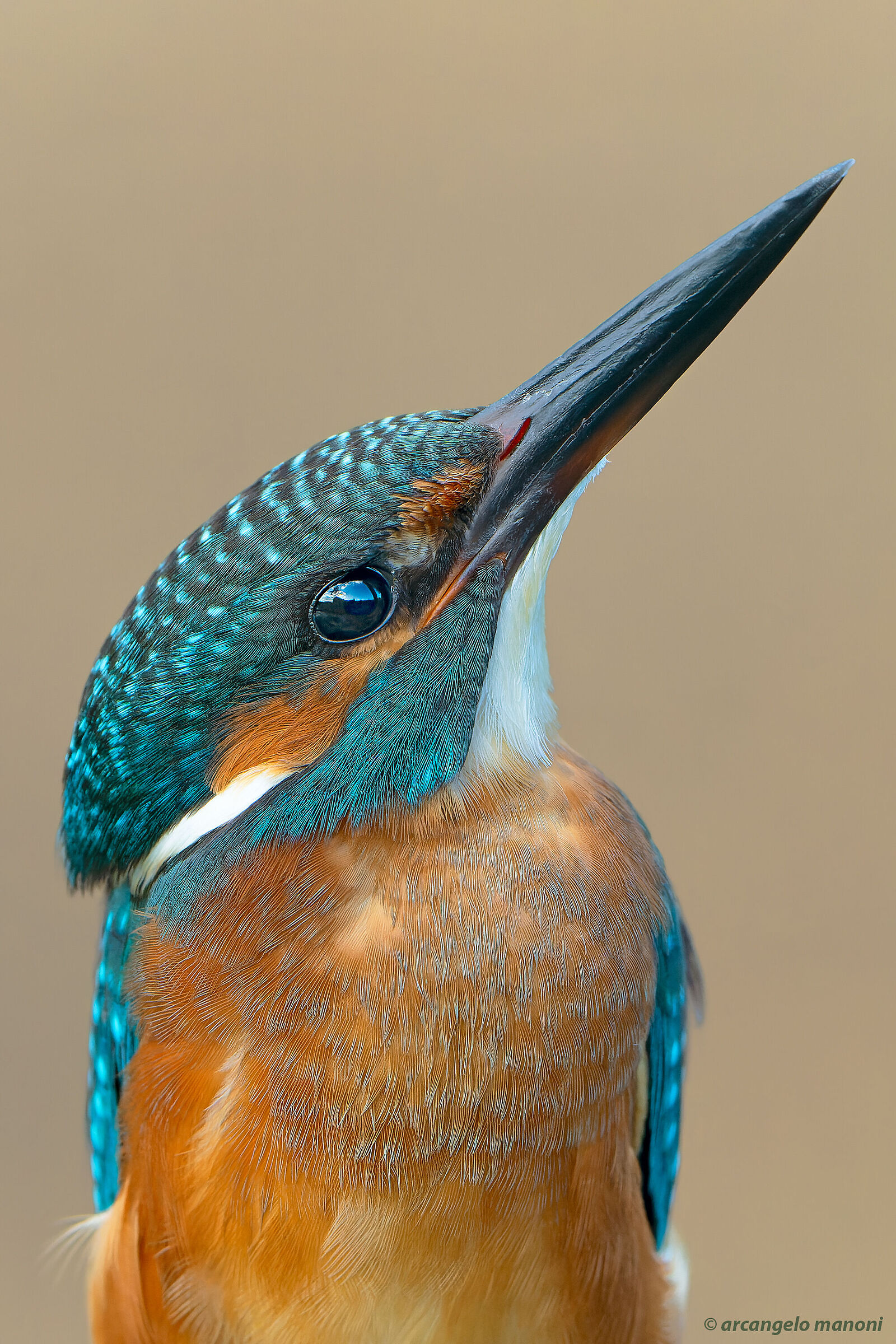 Waiting for the rain but only clouds in the eyes