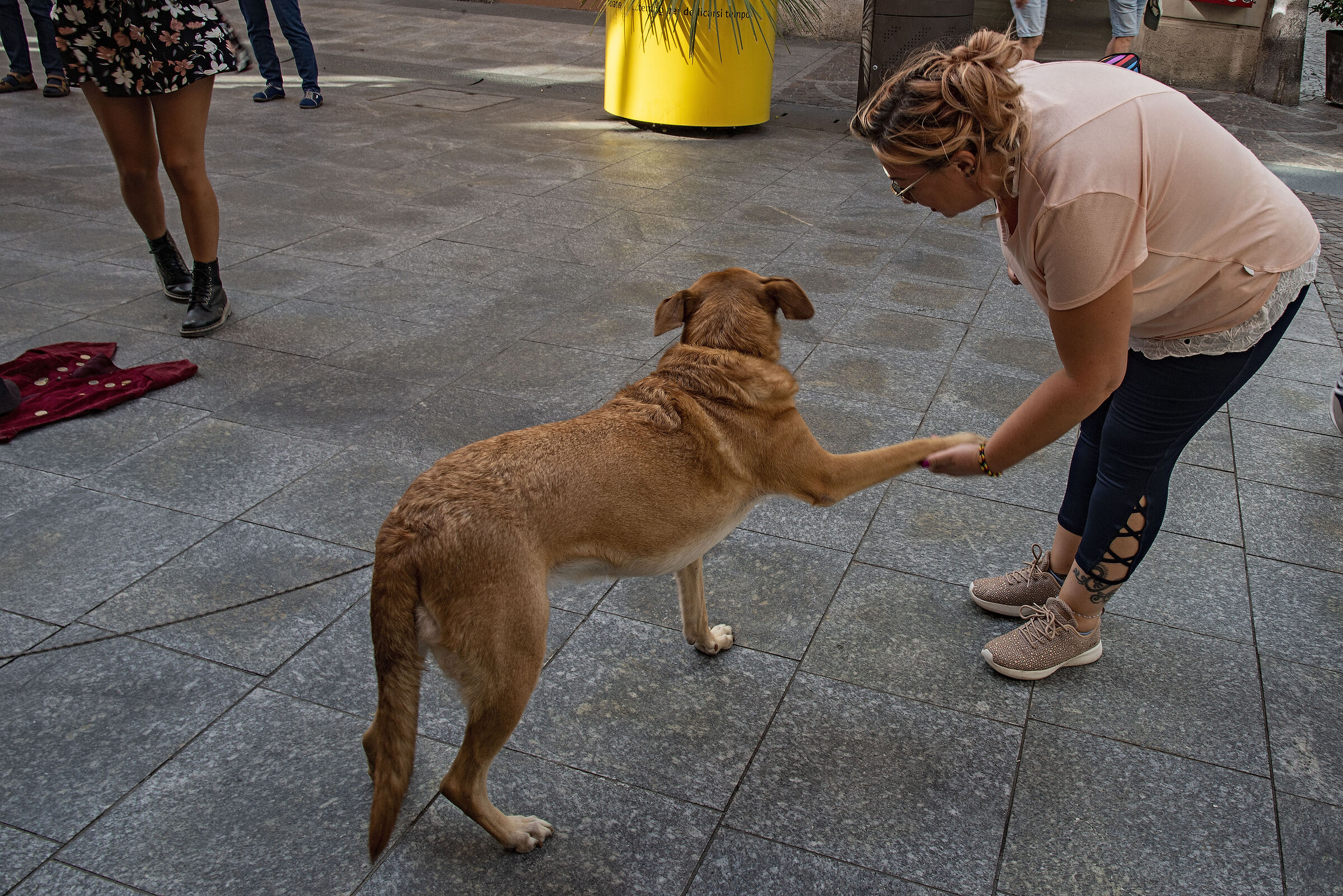....e il cane ringrazia