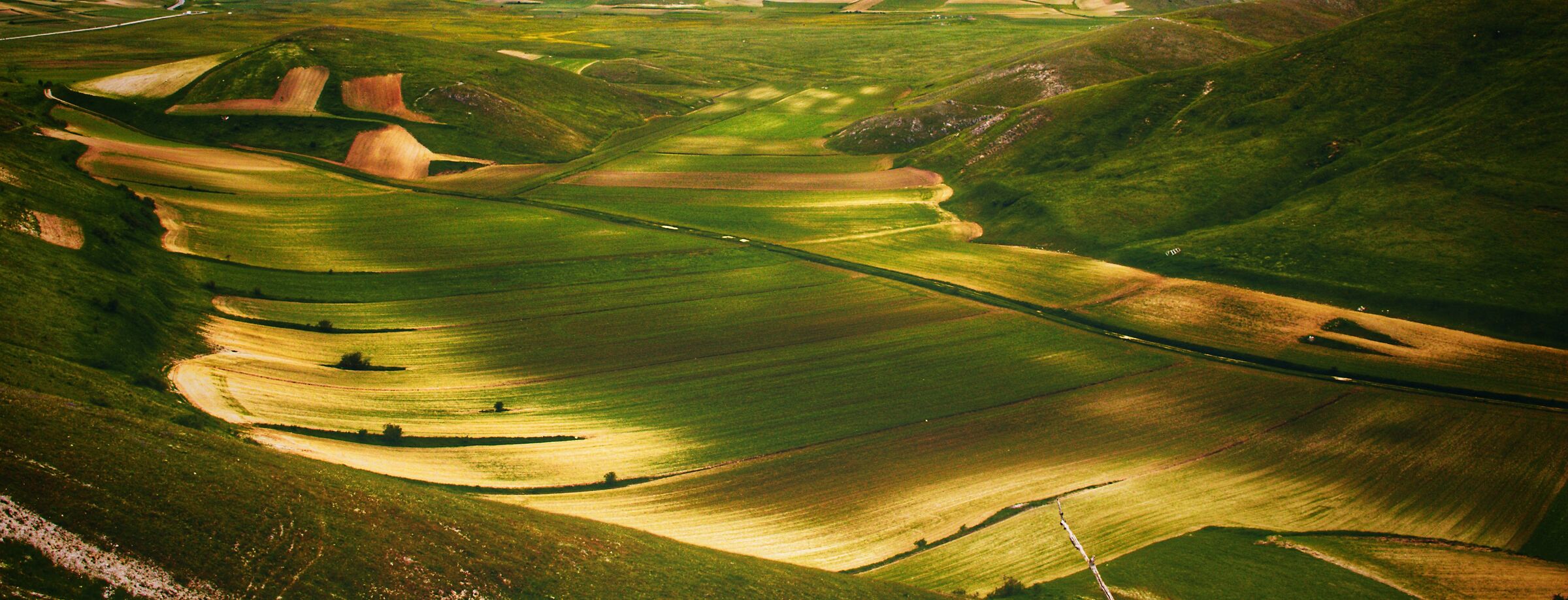 I campi di lenticchie -  Castelluccio di norcia