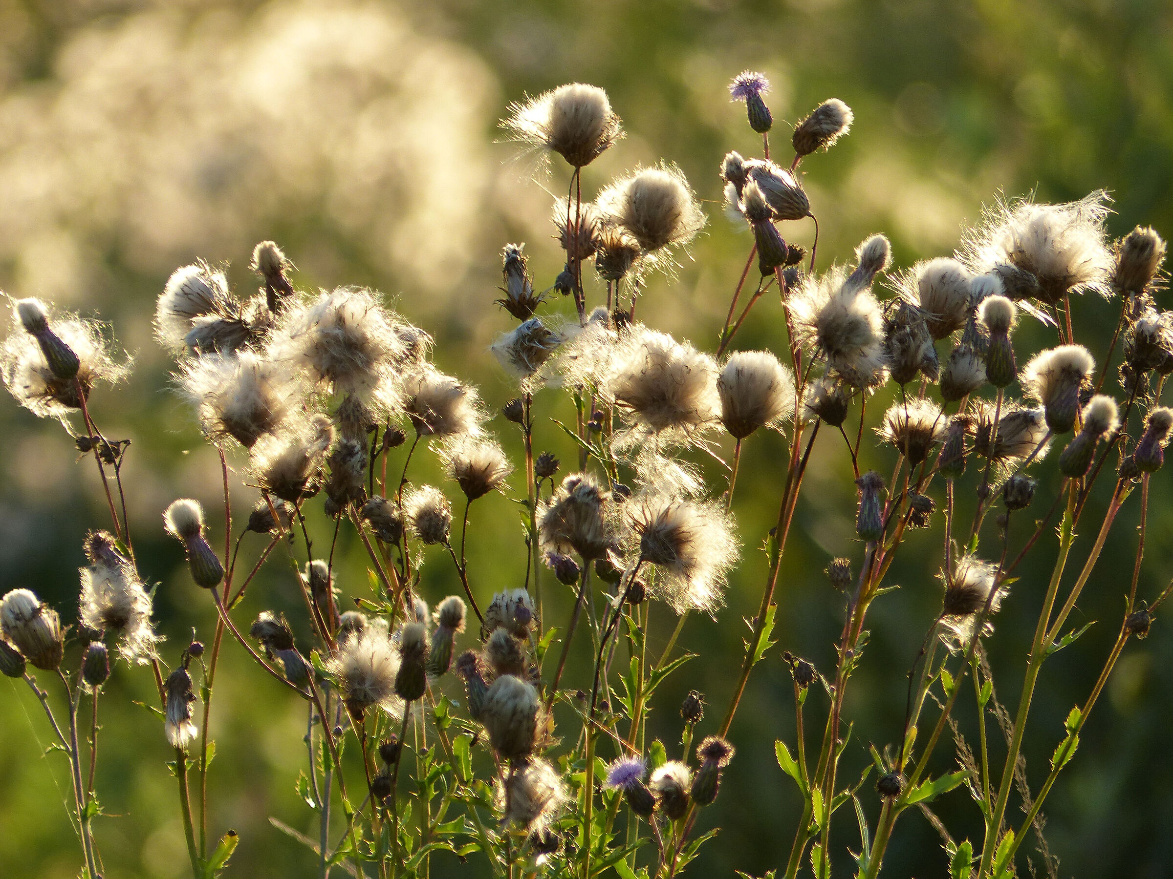 L'autunno è arrivato