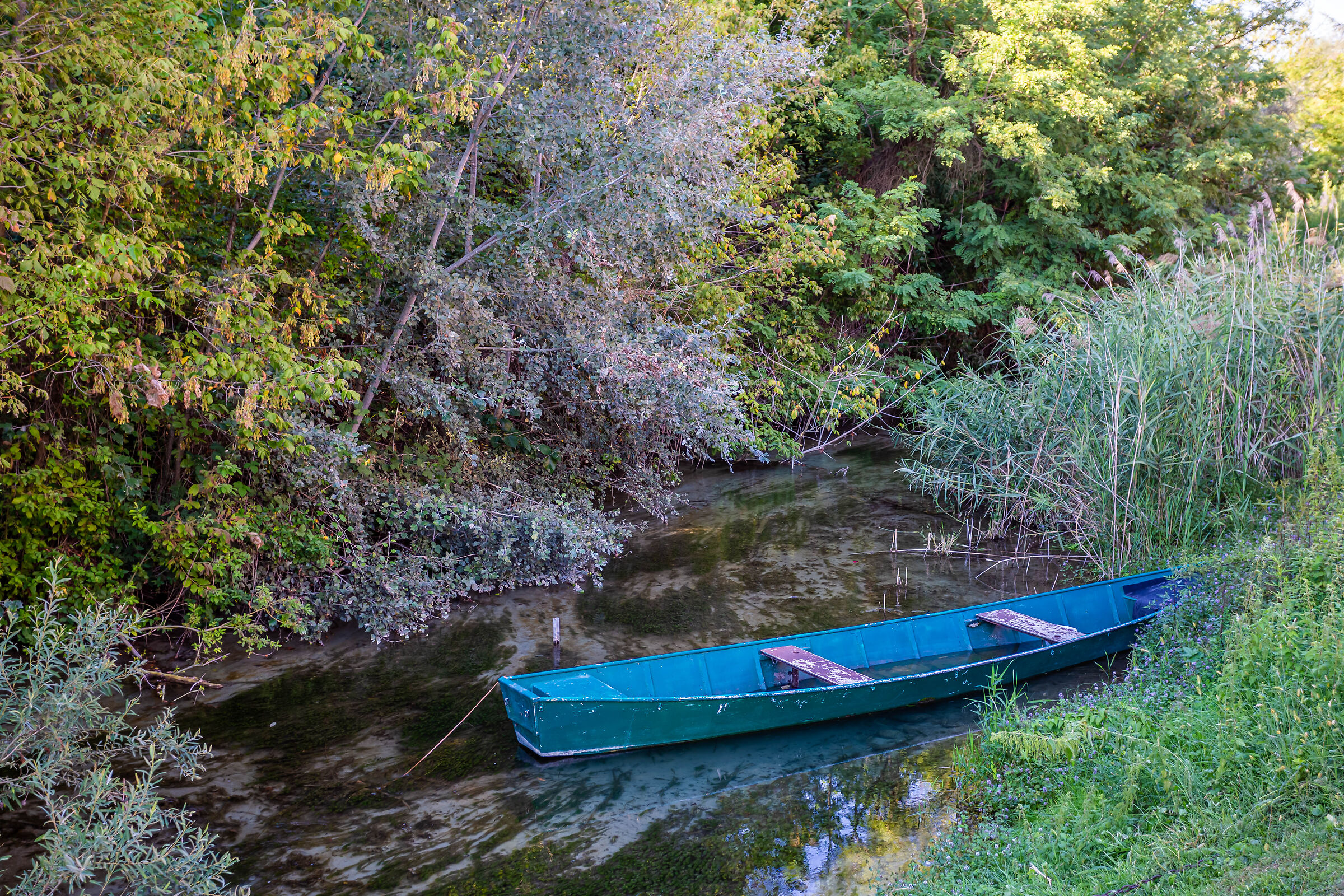 Barchetta sul Ticino