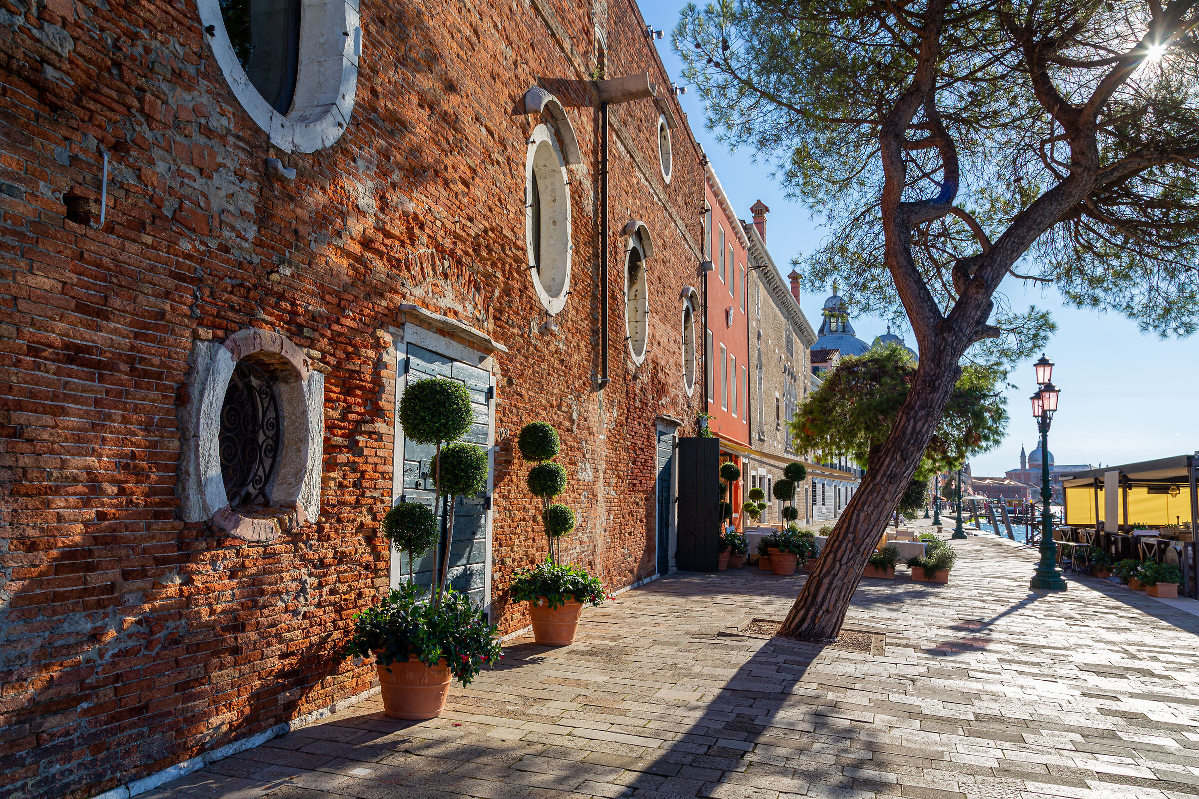 Contralbero