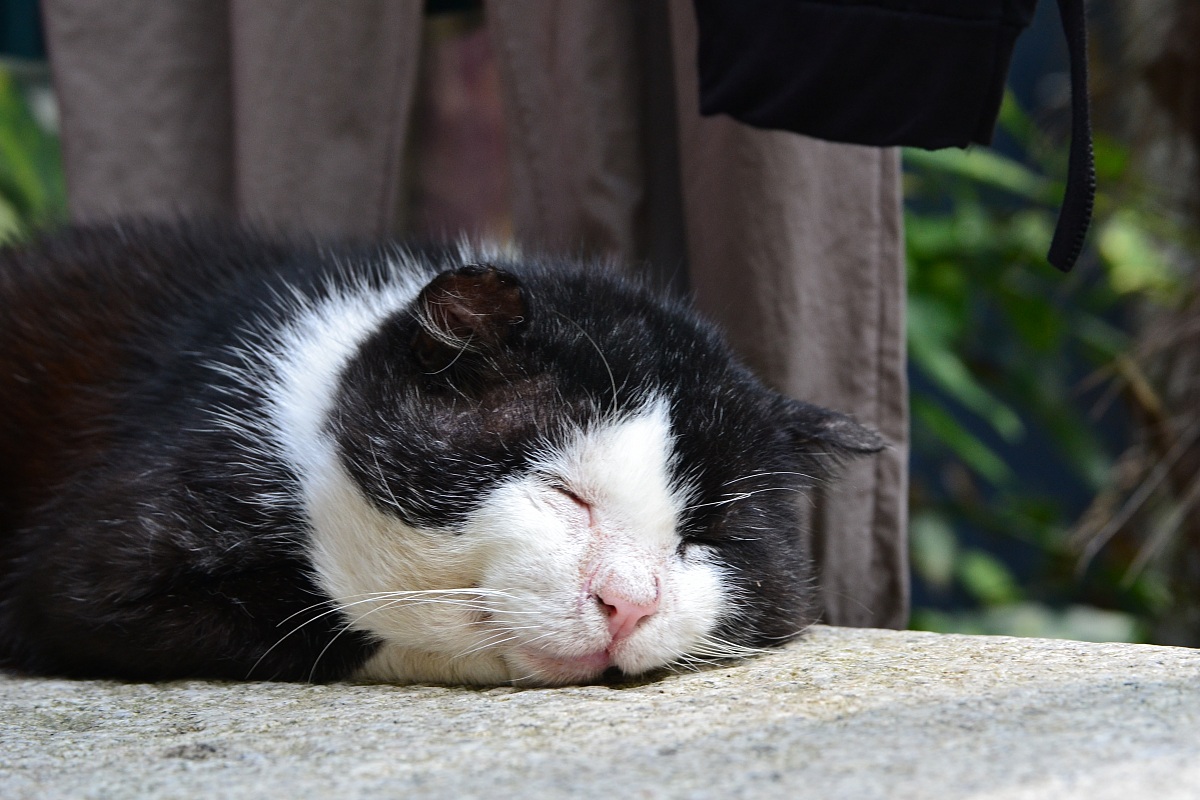 Peace ... Love ... Sleeping