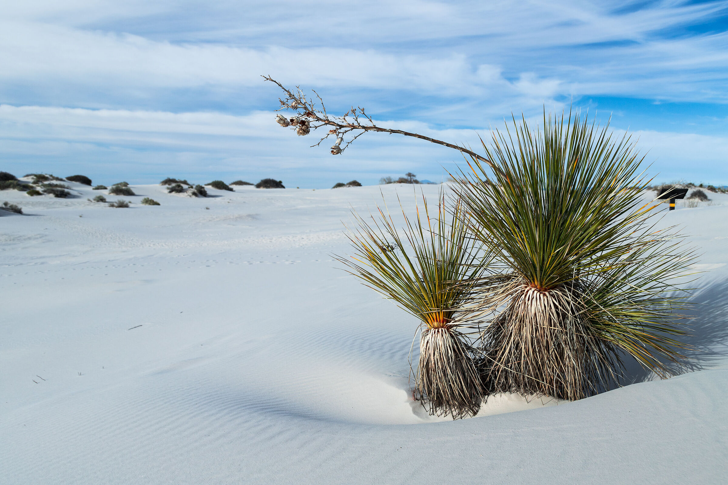 White Sands