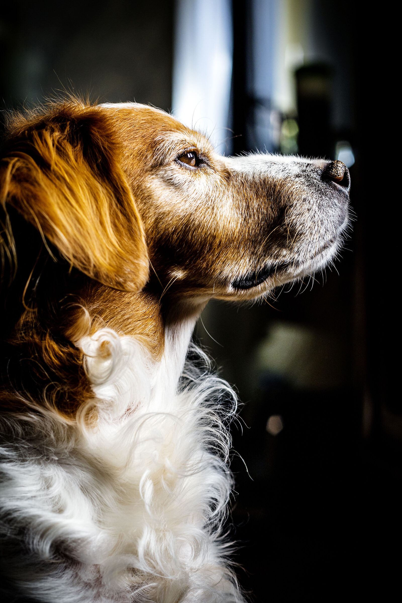 Arnold in posa da VIP