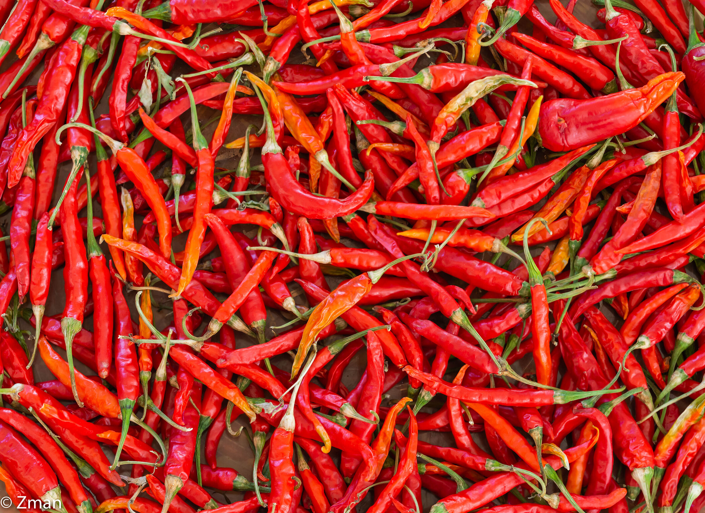 Peperoncini rossi caldi