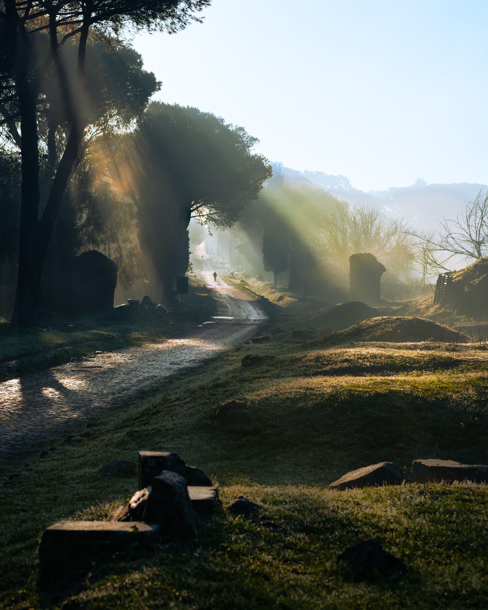 Via Appia Antica Dicembre 2021