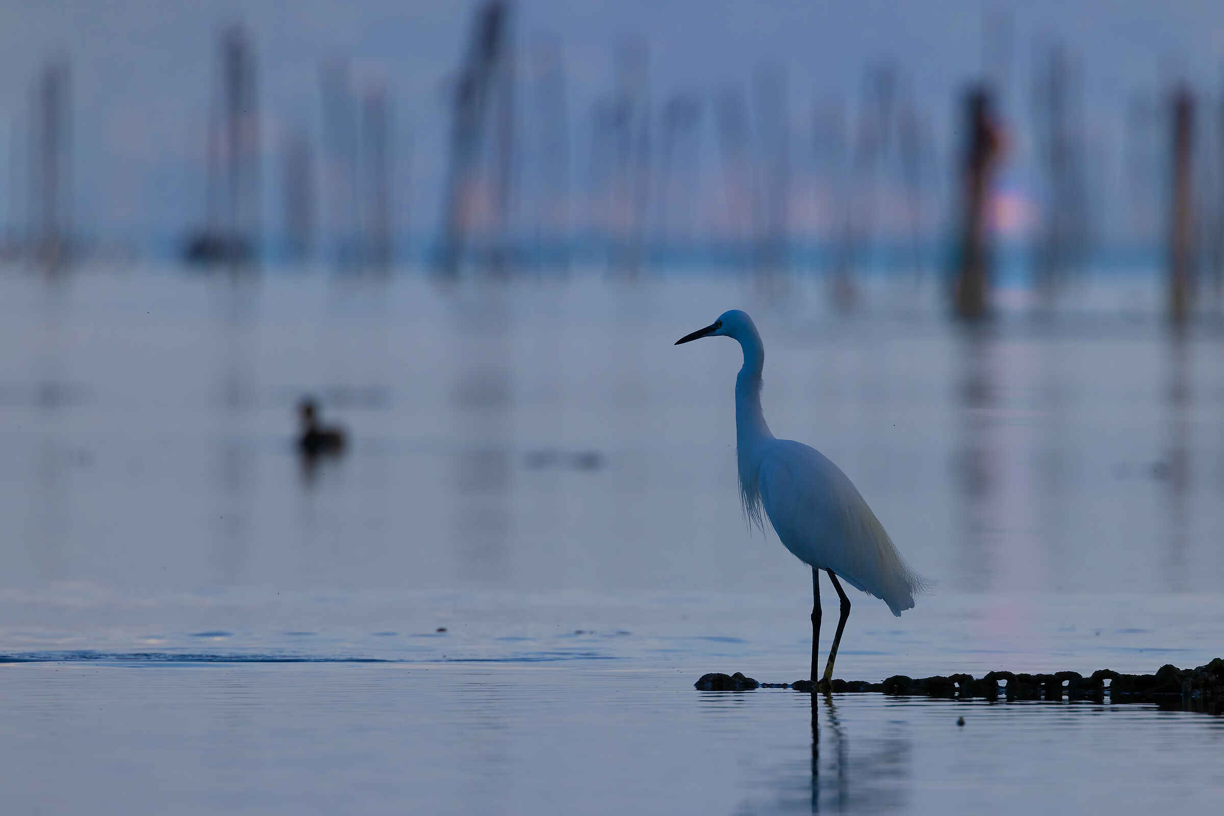 Alba a Punta Grò - Lago di Garda