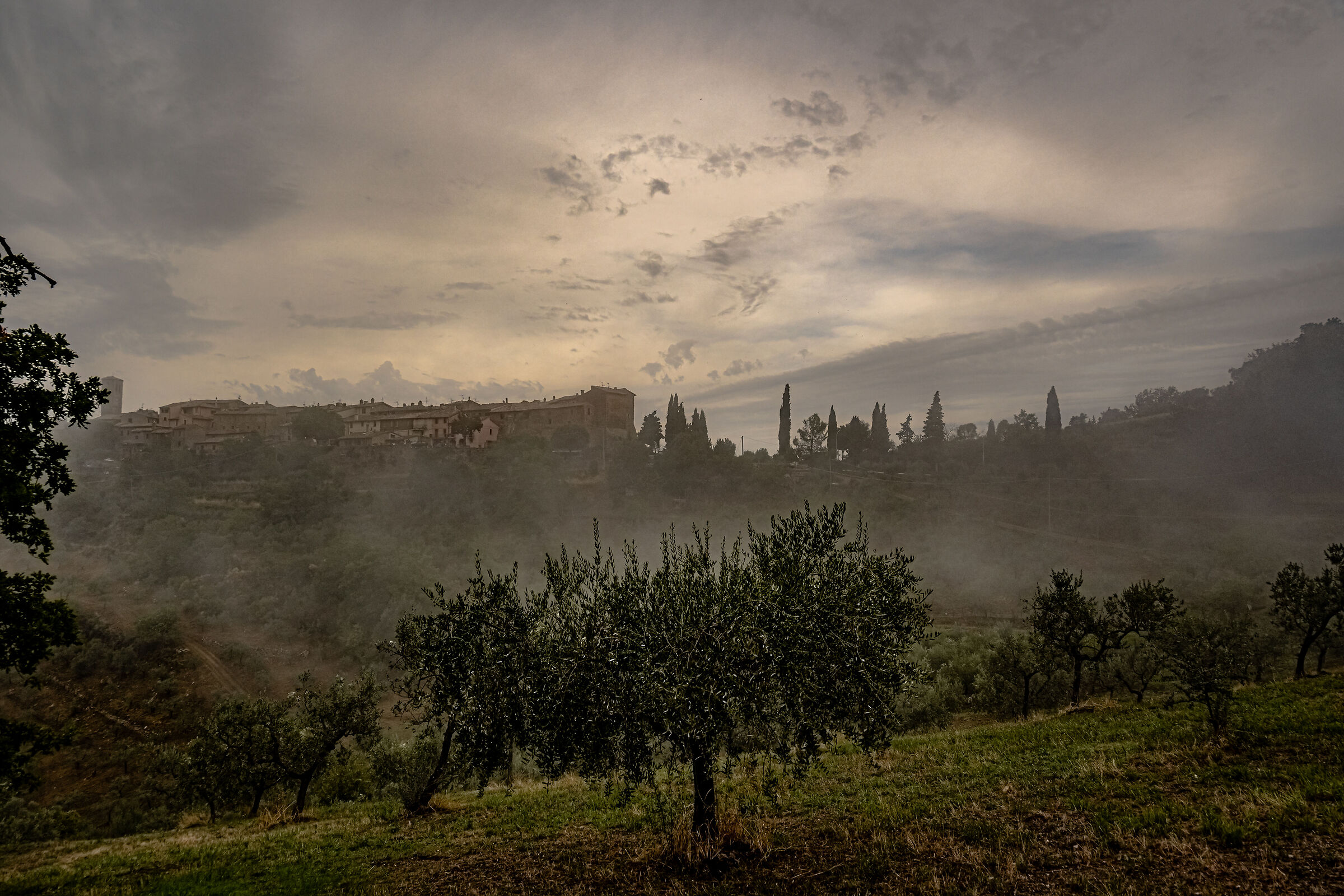 Collemancio.
