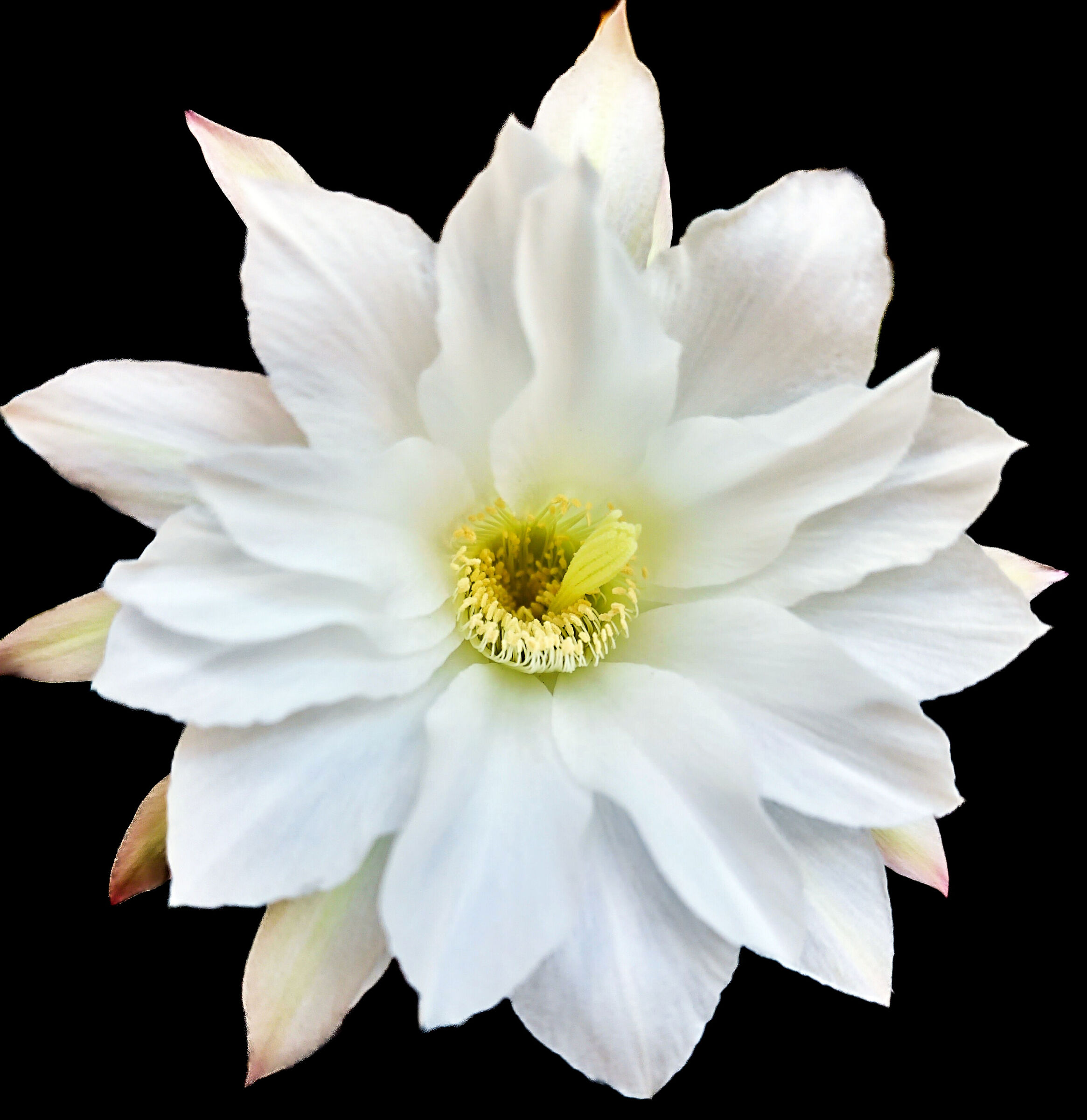 L'ultimo della stagione